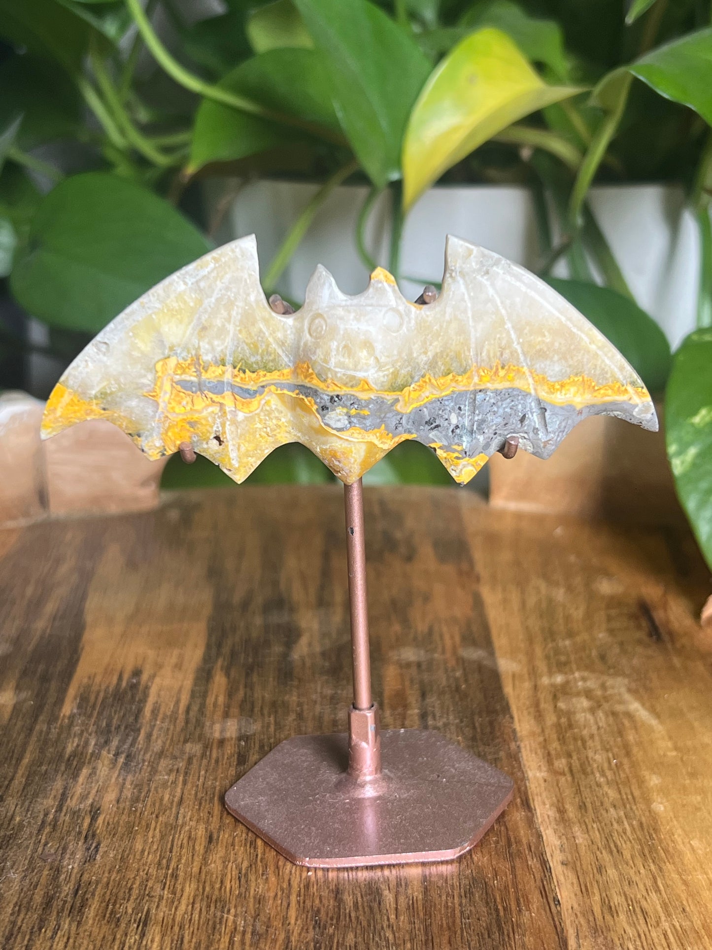 Bumblebee Jasper Bat