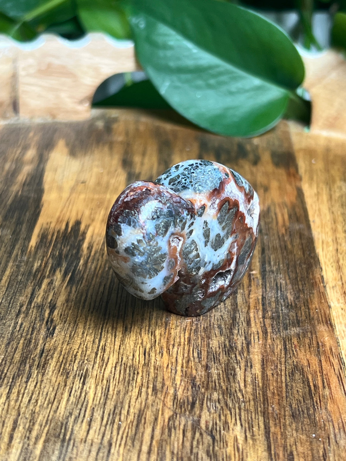 Marcasite Mini Buffalo: ME