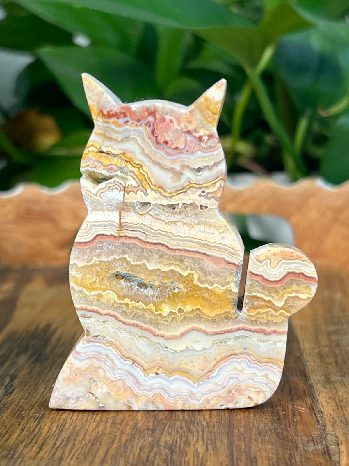 Crazy Lace Agate Small Cats