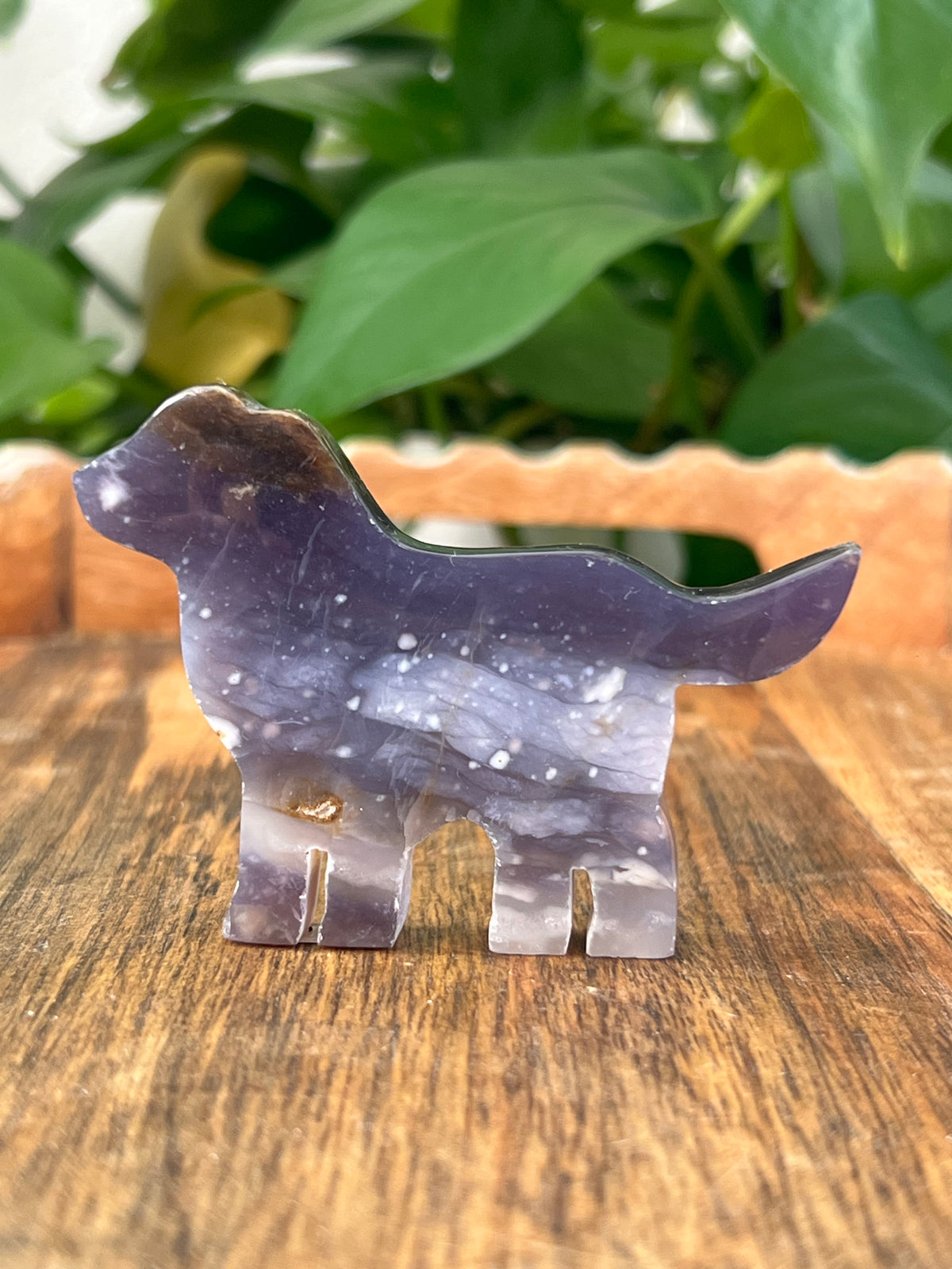 Purple Chalcedony Dogs
