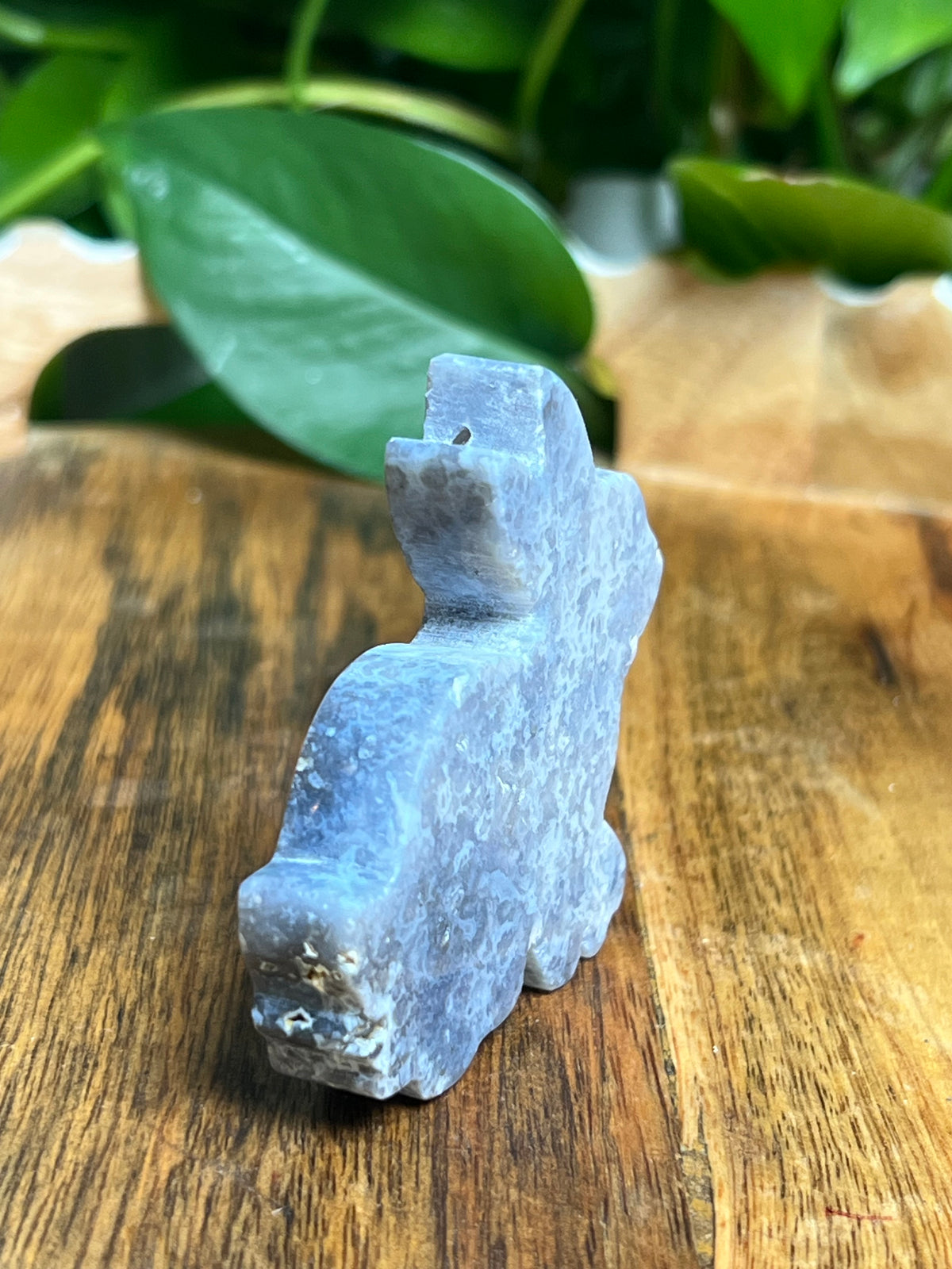 Blue Plume Agate Bunny: PC