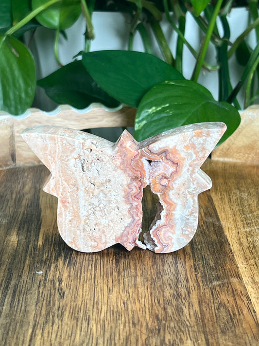 Crazy Lace Agate Butterfly: AB