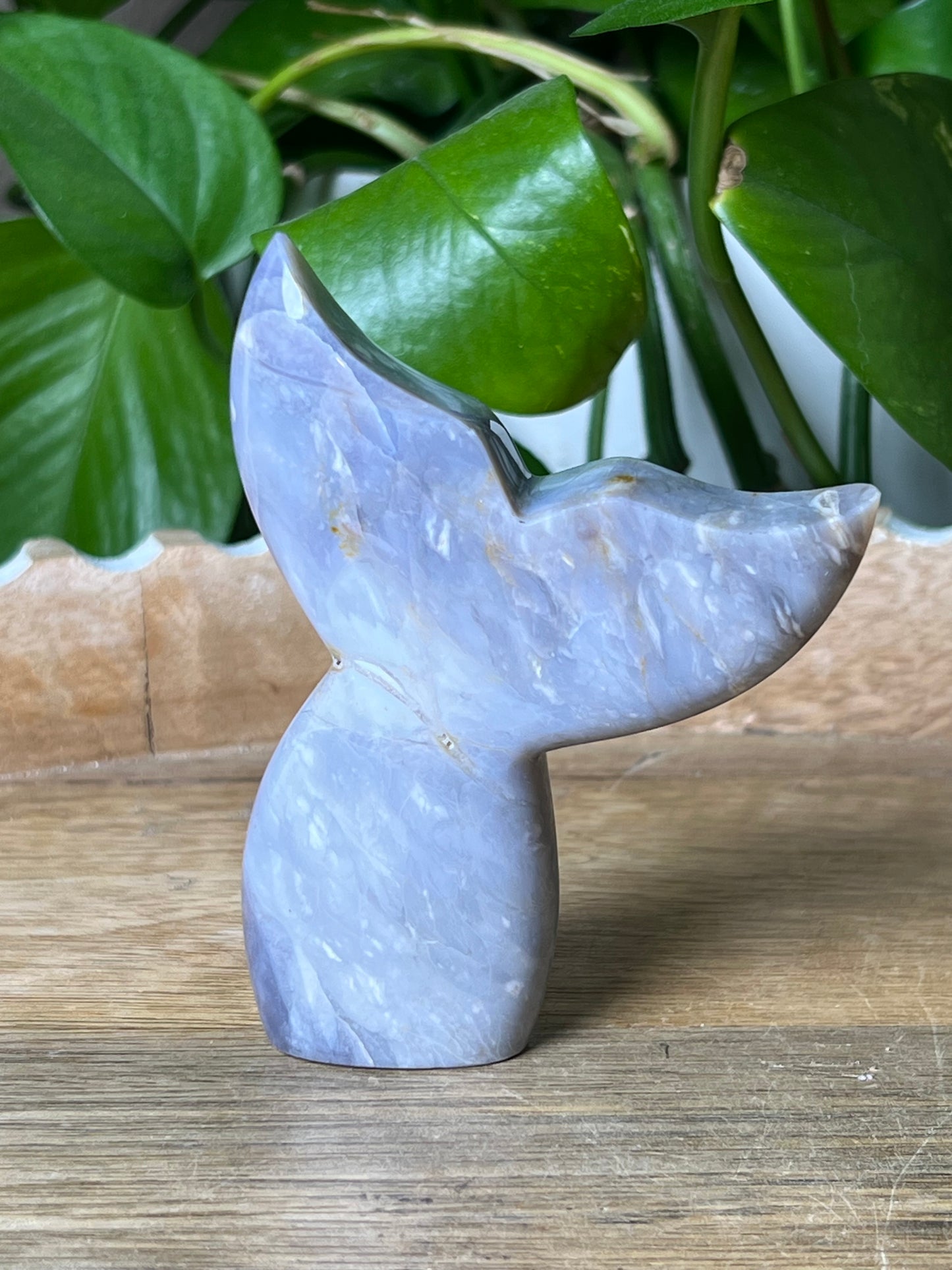 Purple Chalcedony Tail