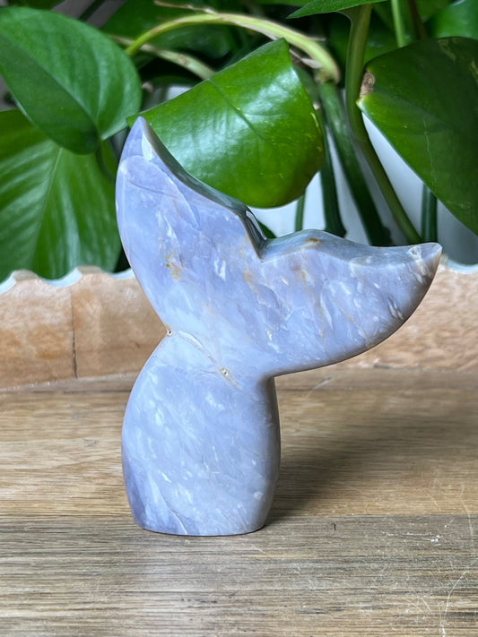 Purple Chalcedony Tail