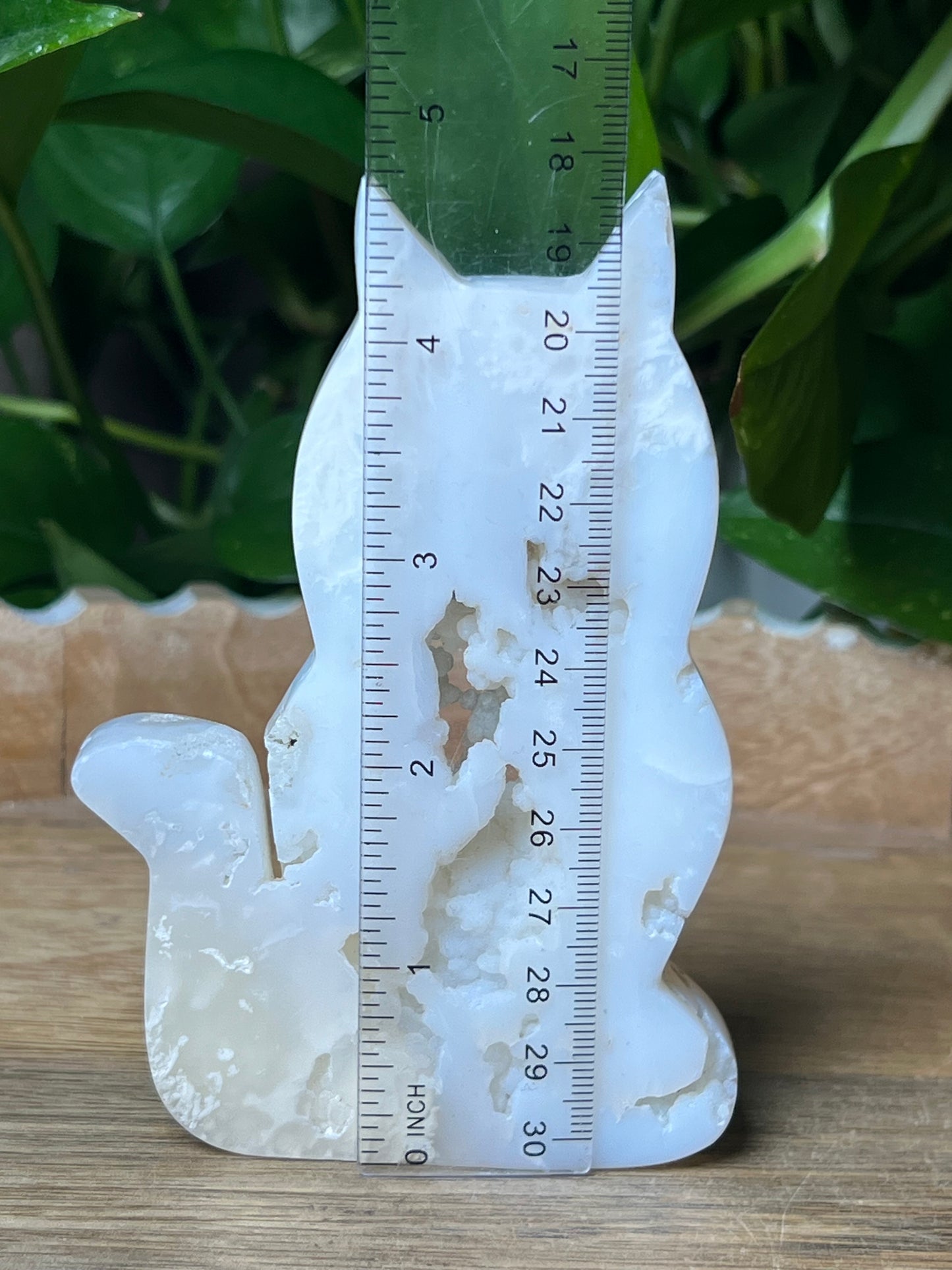 White Plume Agate Cat