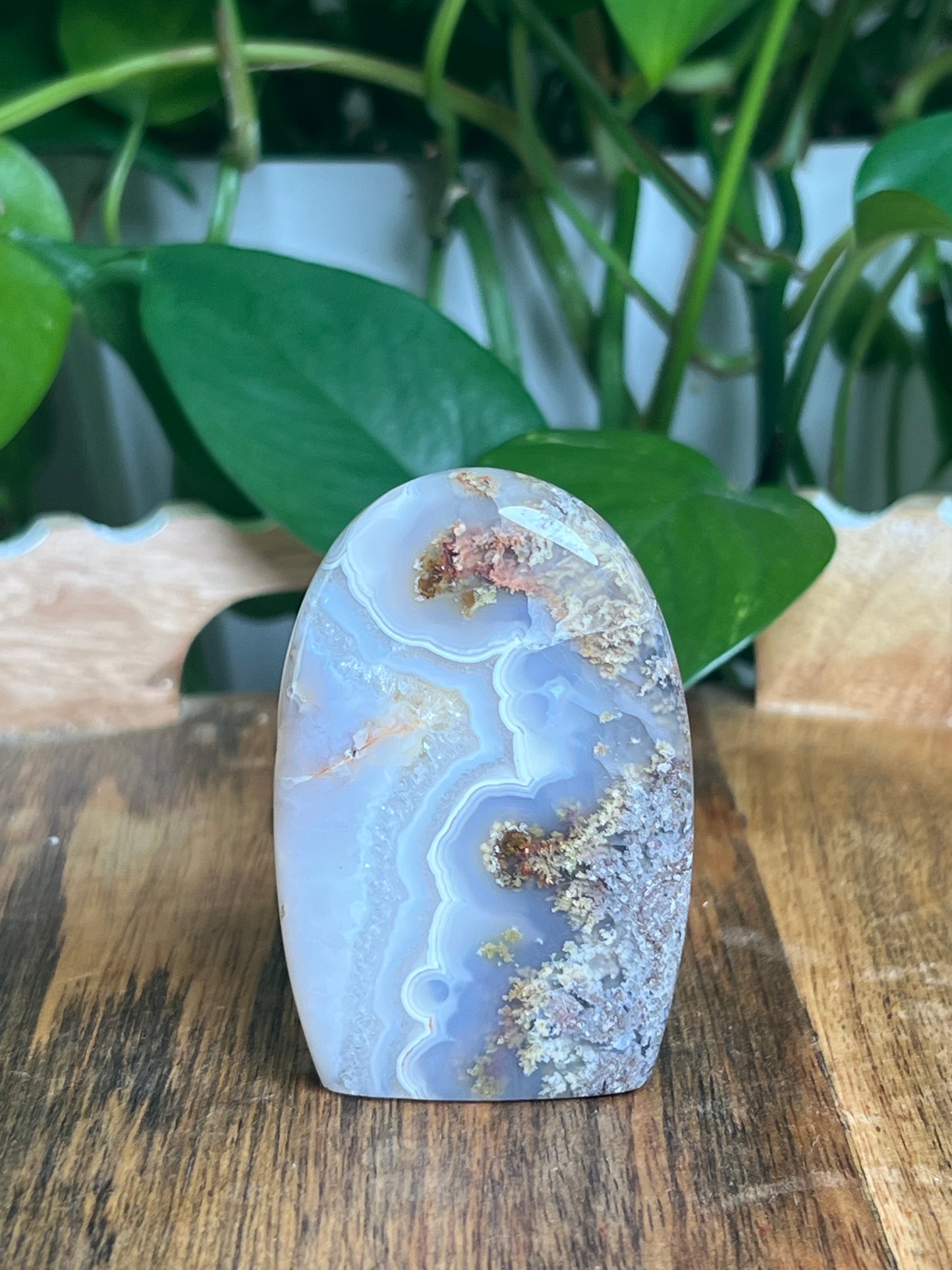 Scenic Moss Agate Mini Freeform: QX
