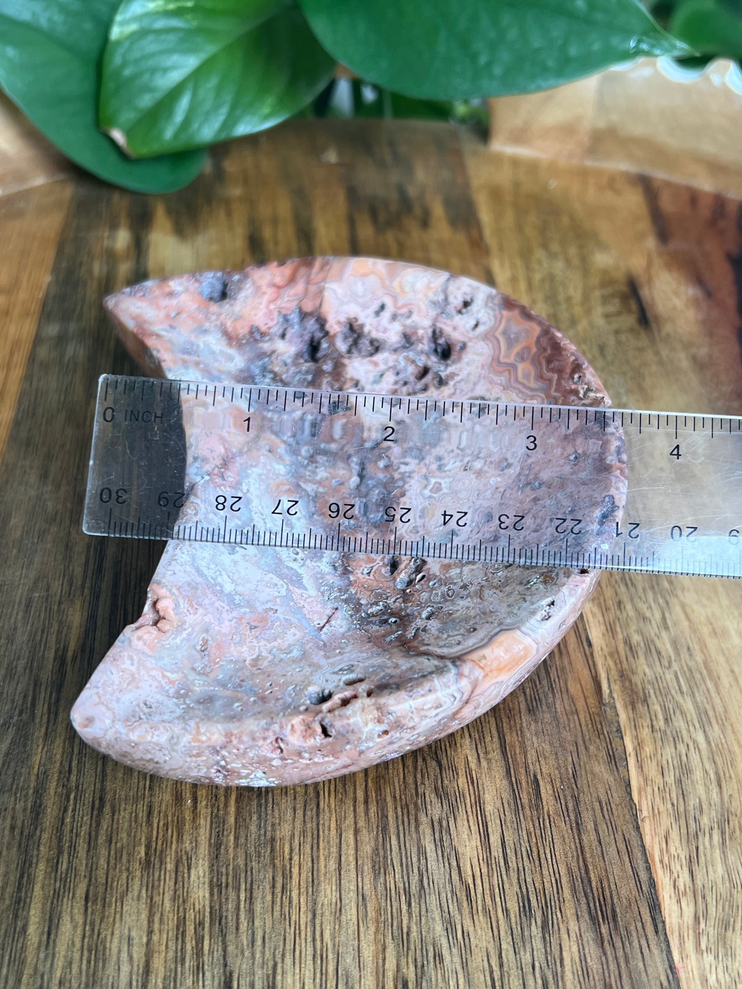 Crazy Lace Agate Moon Bowl: B