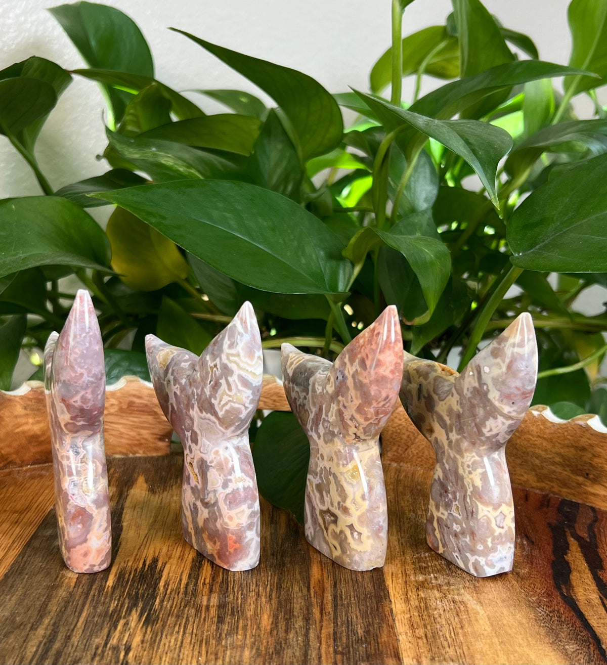 Sumatra Plume Agate Tails