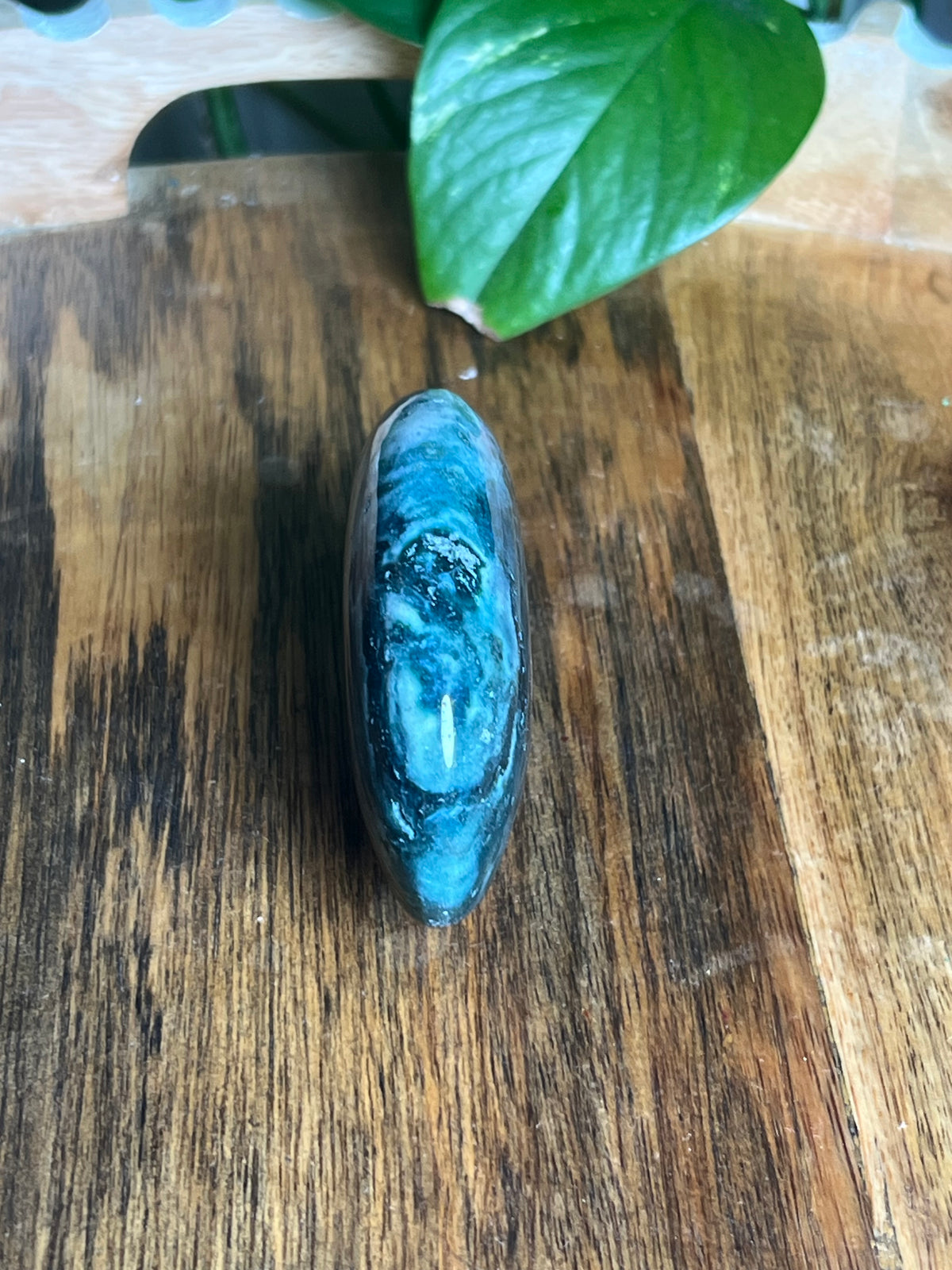 Blue Green Jasper Bear: K