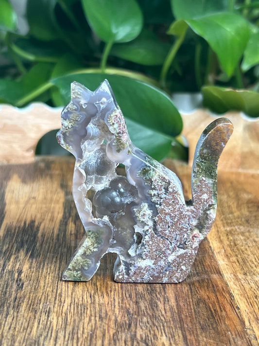 Scenic Moss Agate Cat: RH
