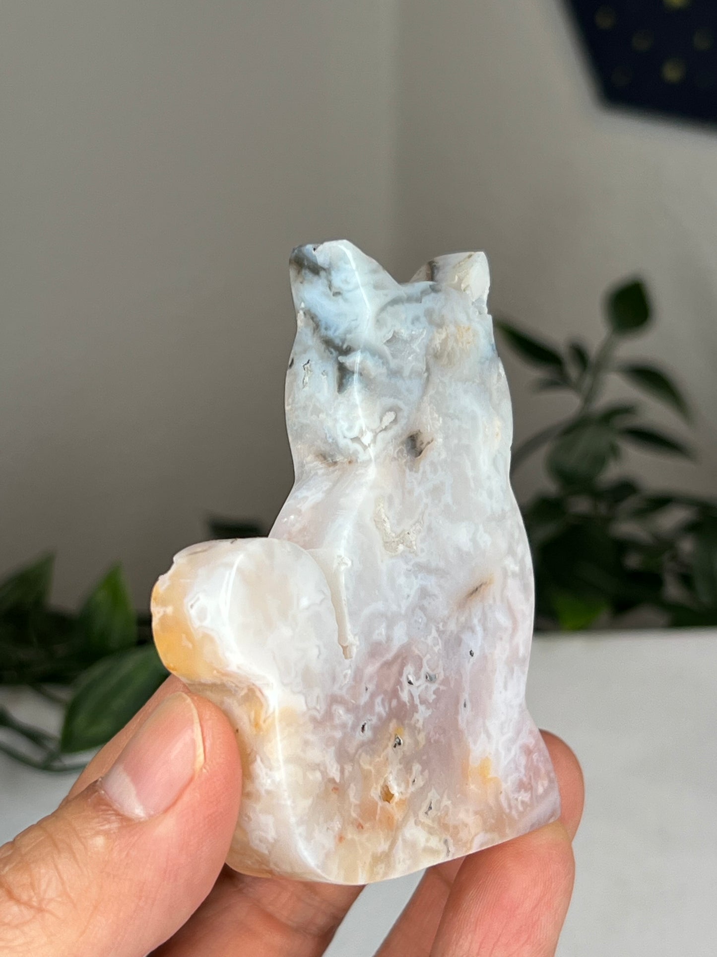 Rainbow Plume Agate Cat