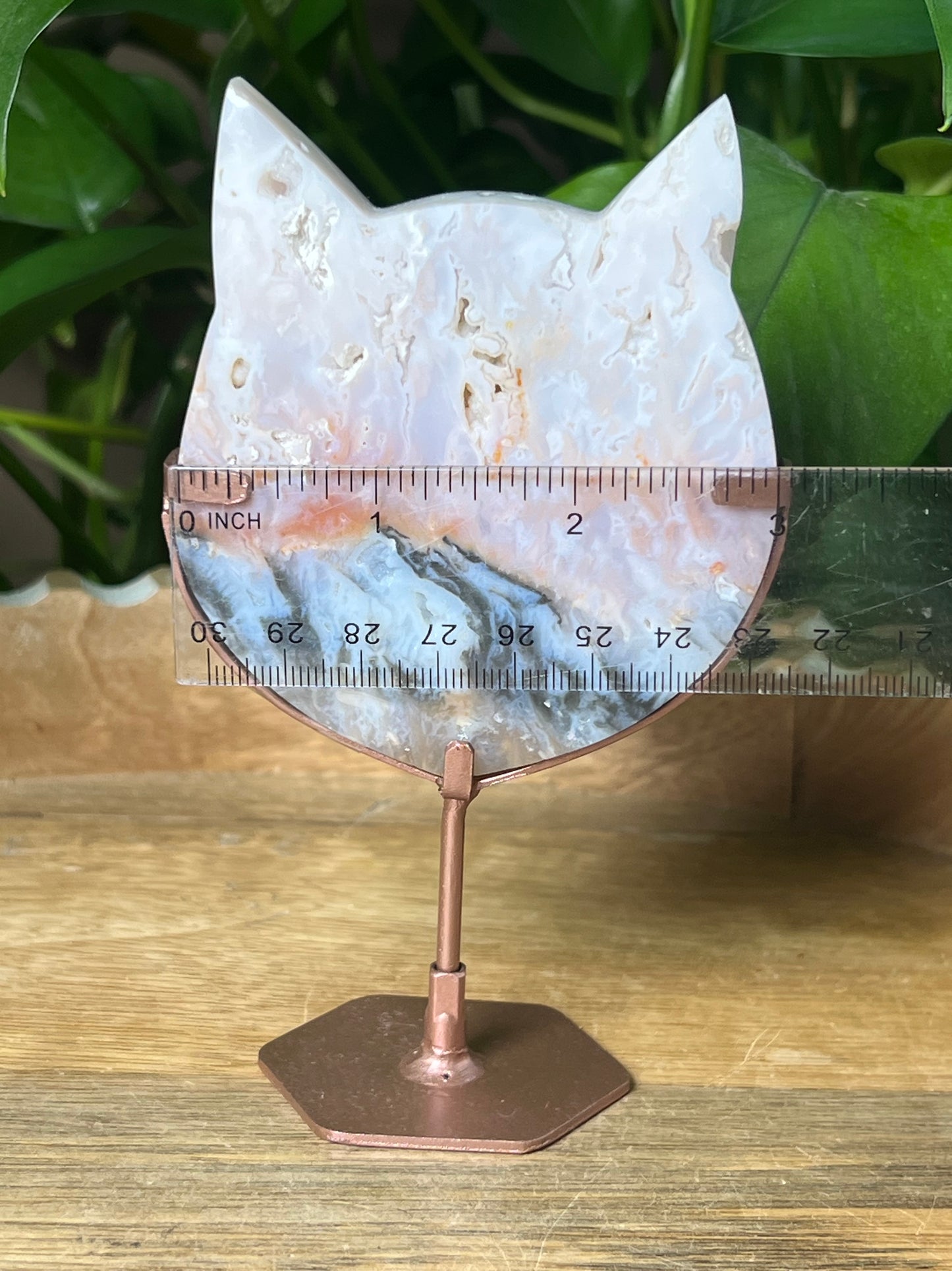 Rainbow Plume Agate Cat Head