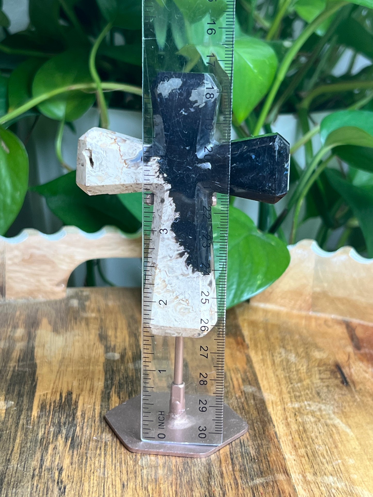 Palm Root Cross: D