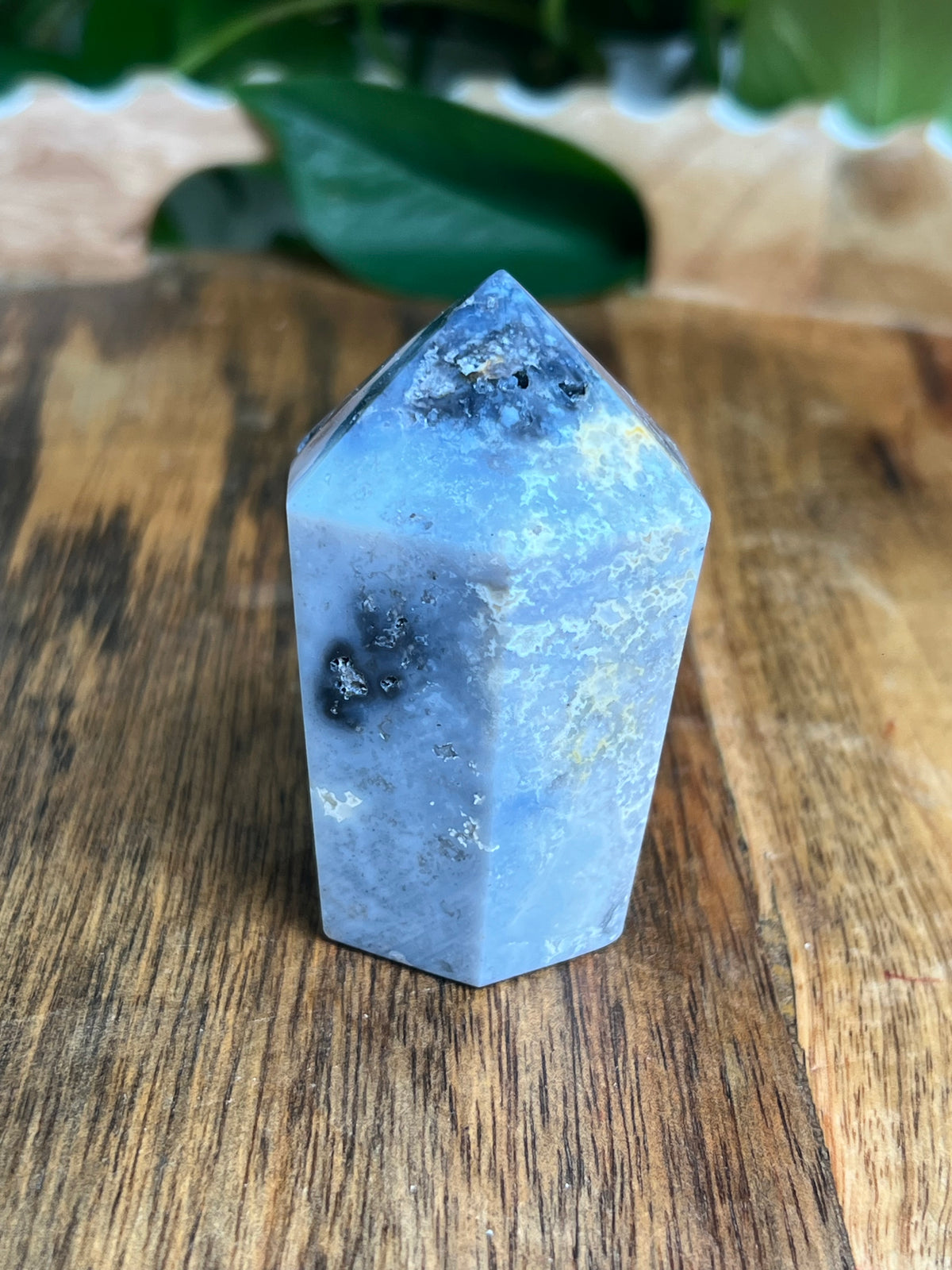 Blue Plume Agate Cupcake: EJ