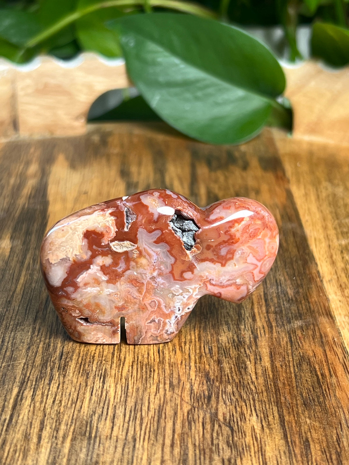 Carnelian Mini Buffalo: BG