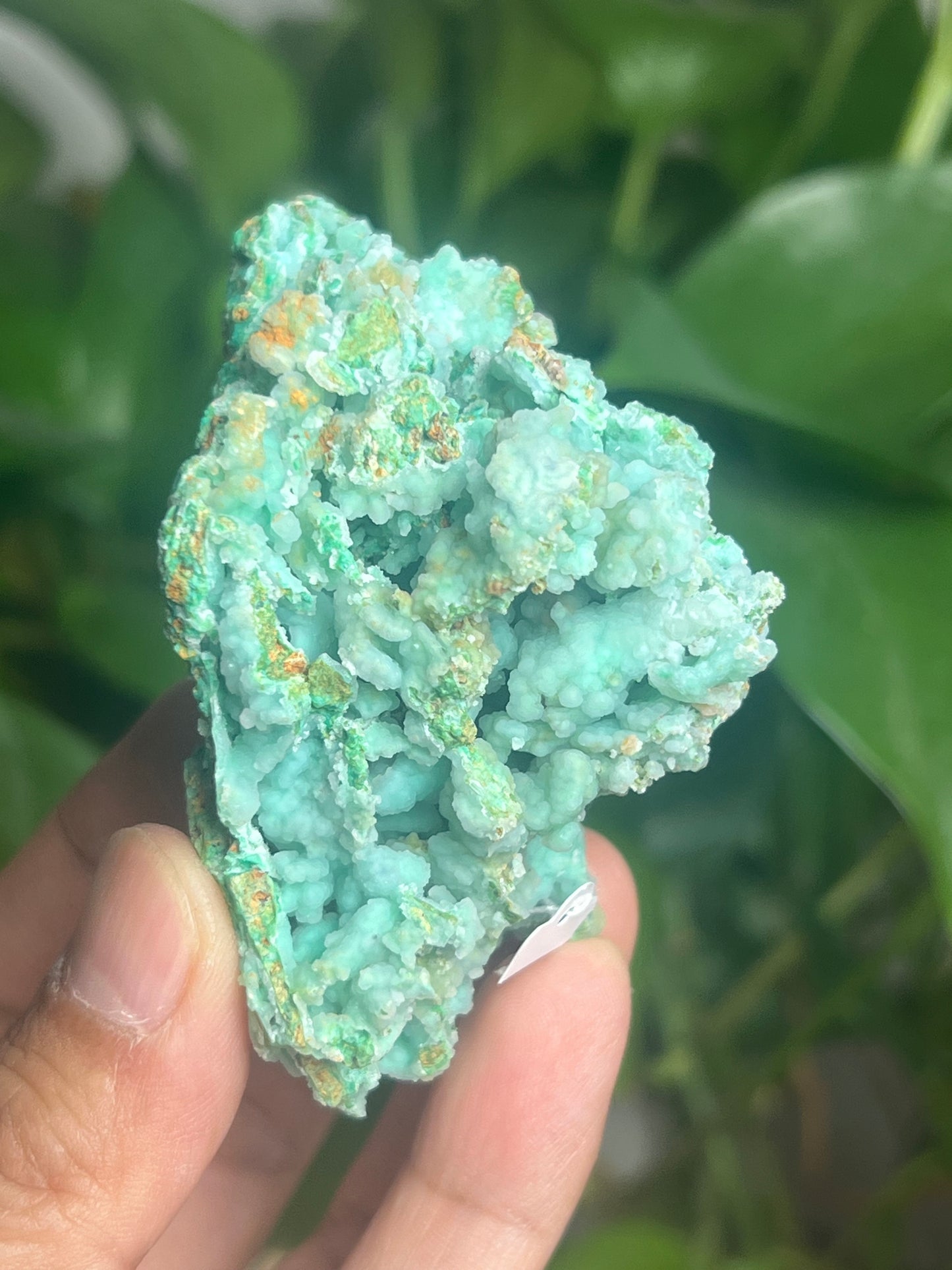 Smithsonite Specimen Hi