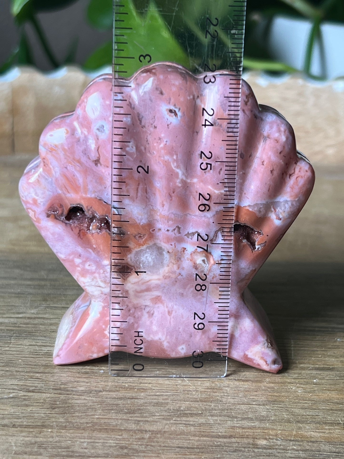 Pink Carnelian Shell