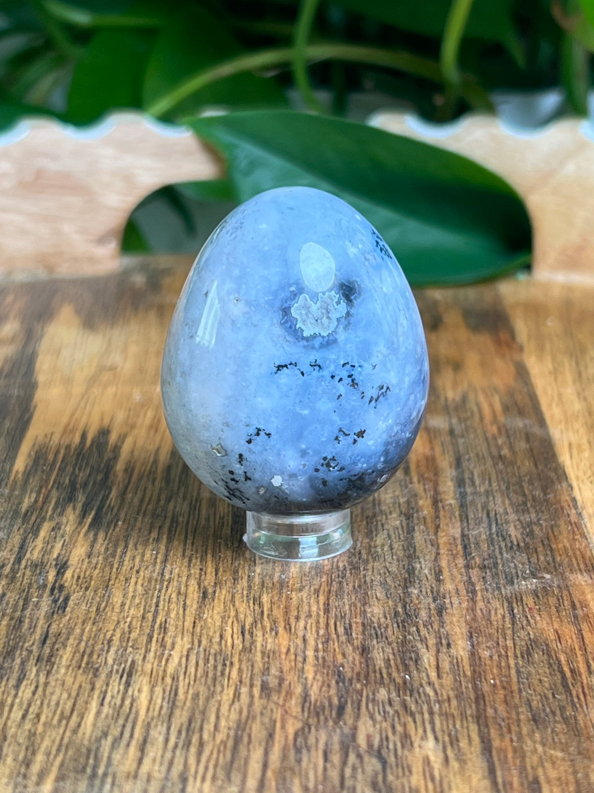 Blue Plume Agate Egg: BB