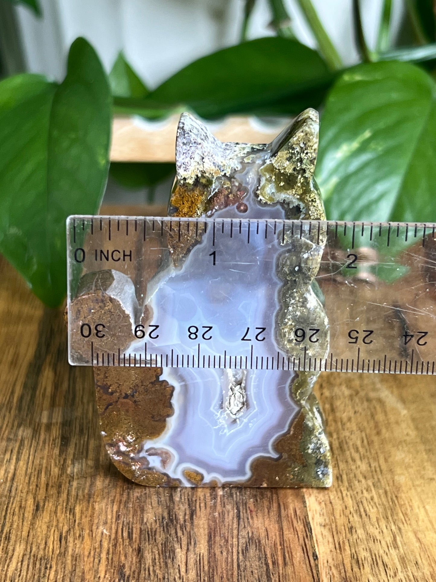 Scenic Moss Agate Cat HS