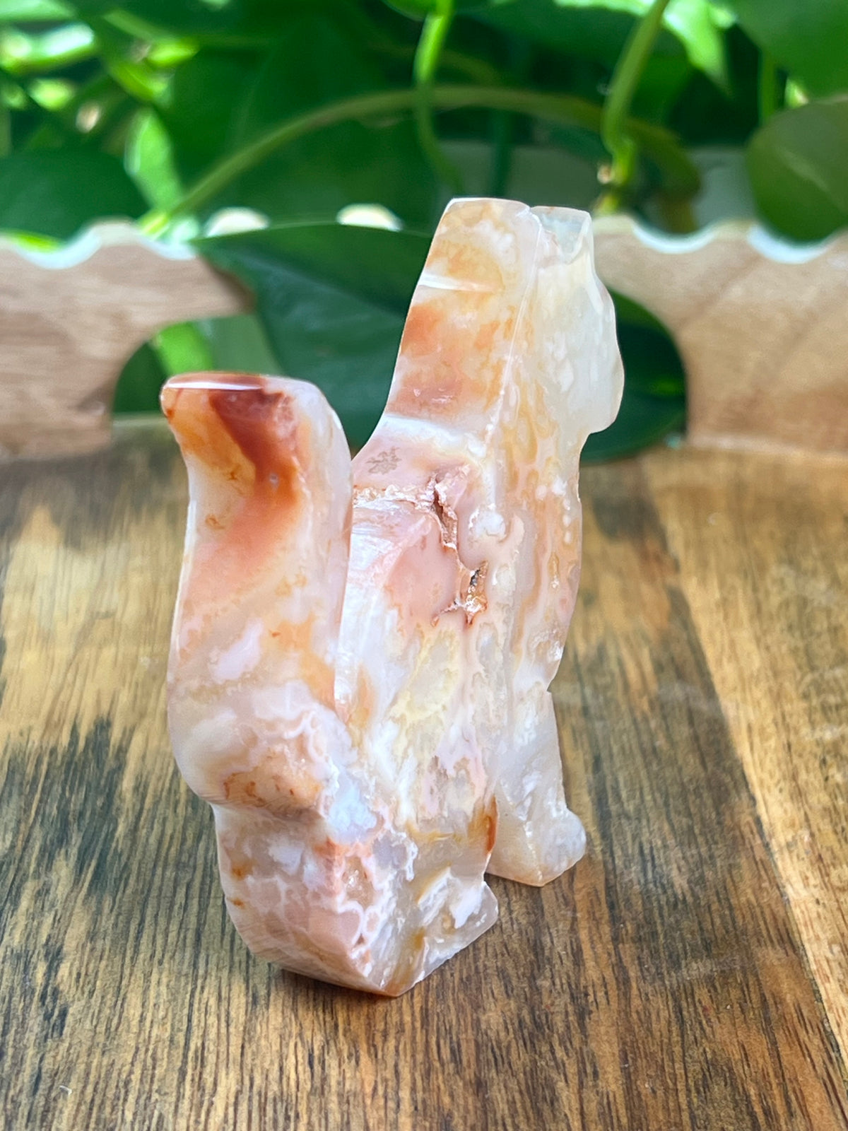 Carnelian Cat: PG