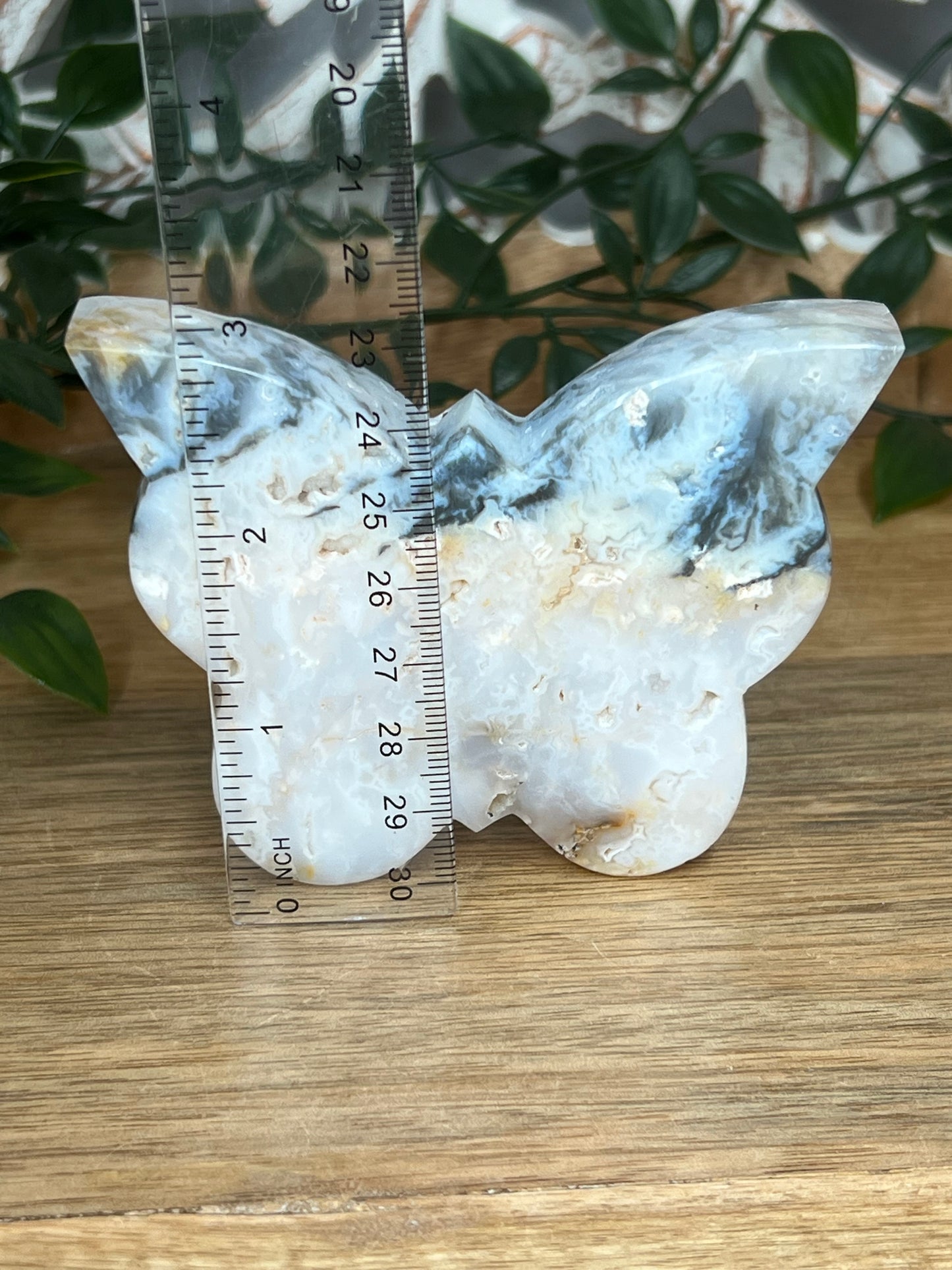 Rainbow Plume Agate Butterfly