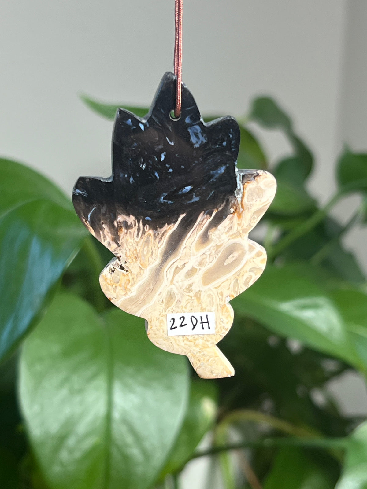 Palm Root Leaf Ornaments