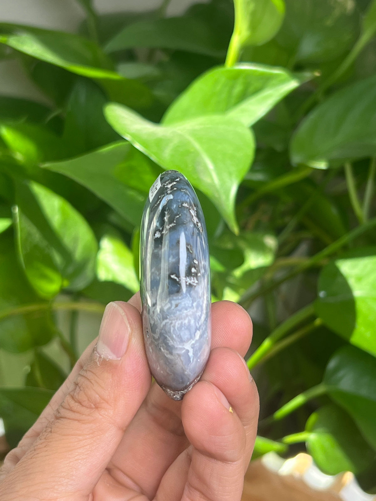 Blue Plume Agate Palmstone: BB