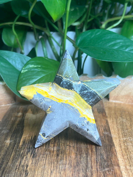 Bumblebee Jasper Star: E