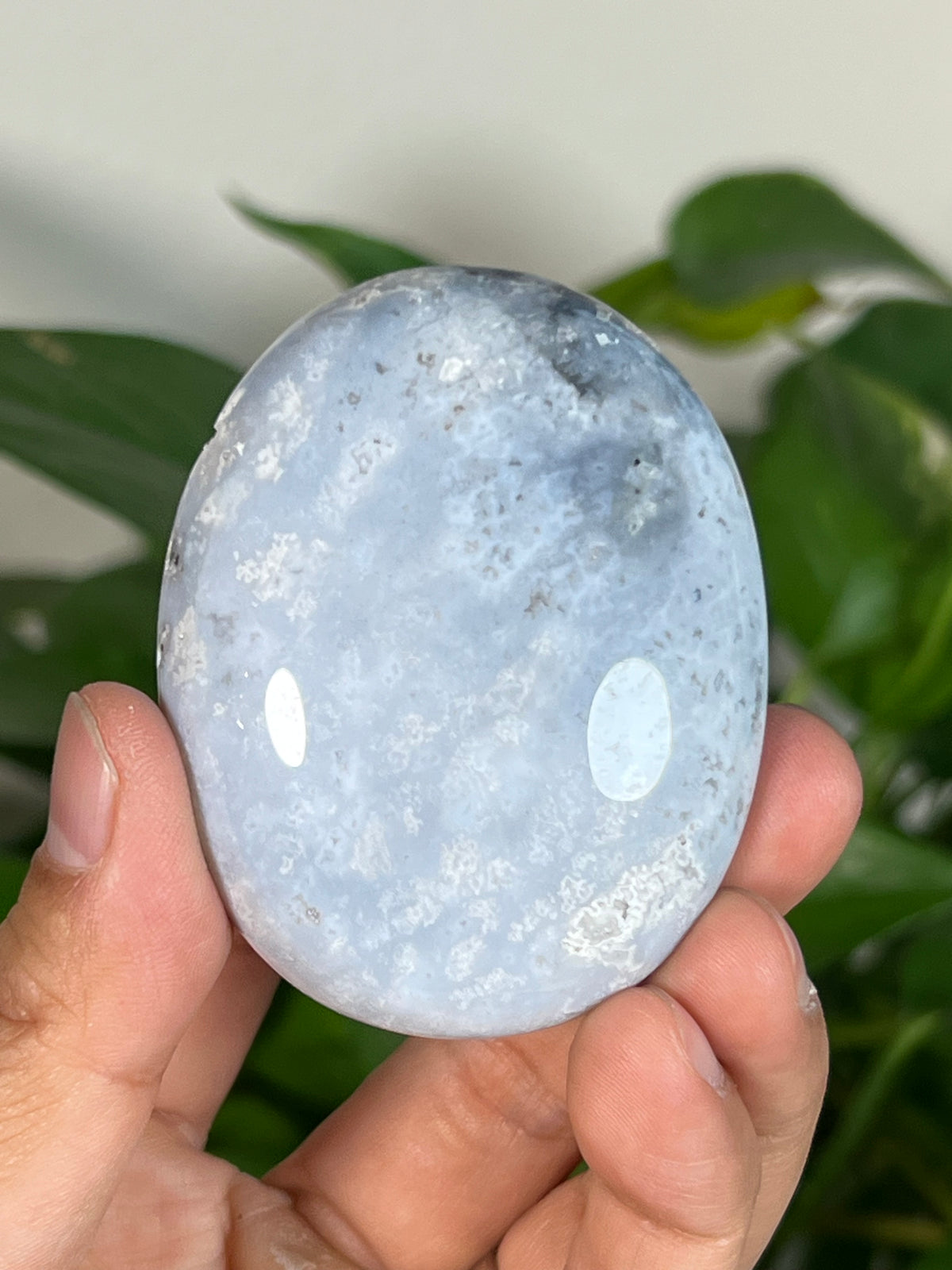 Blue Plume Agate Palmstones