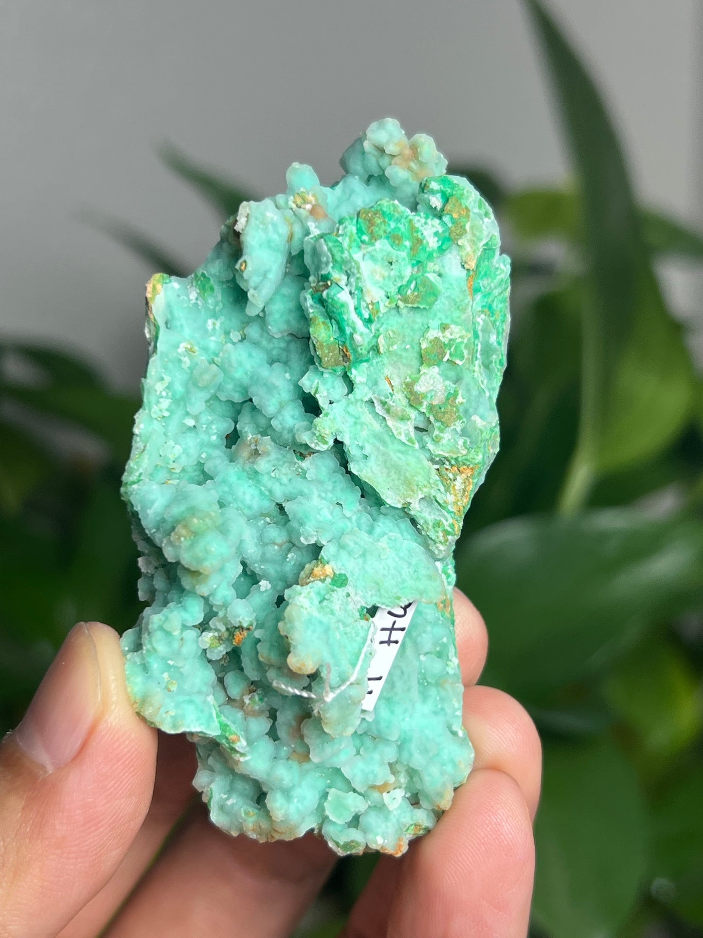 Smithsonite Specimen HU