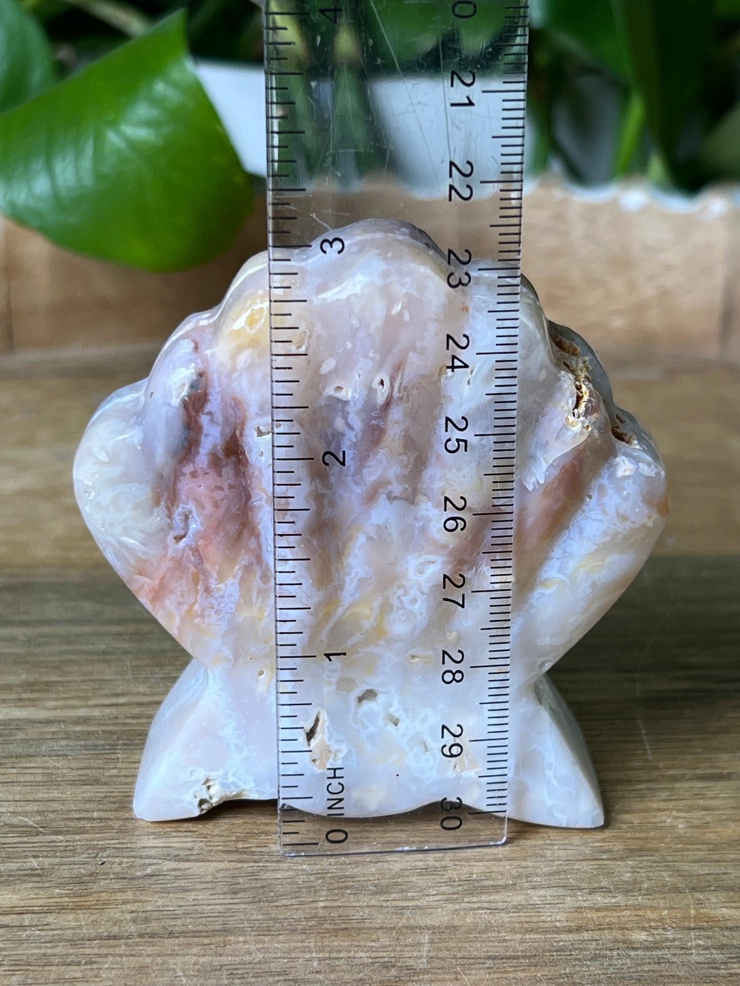 Rainbow Plume Agate Shell