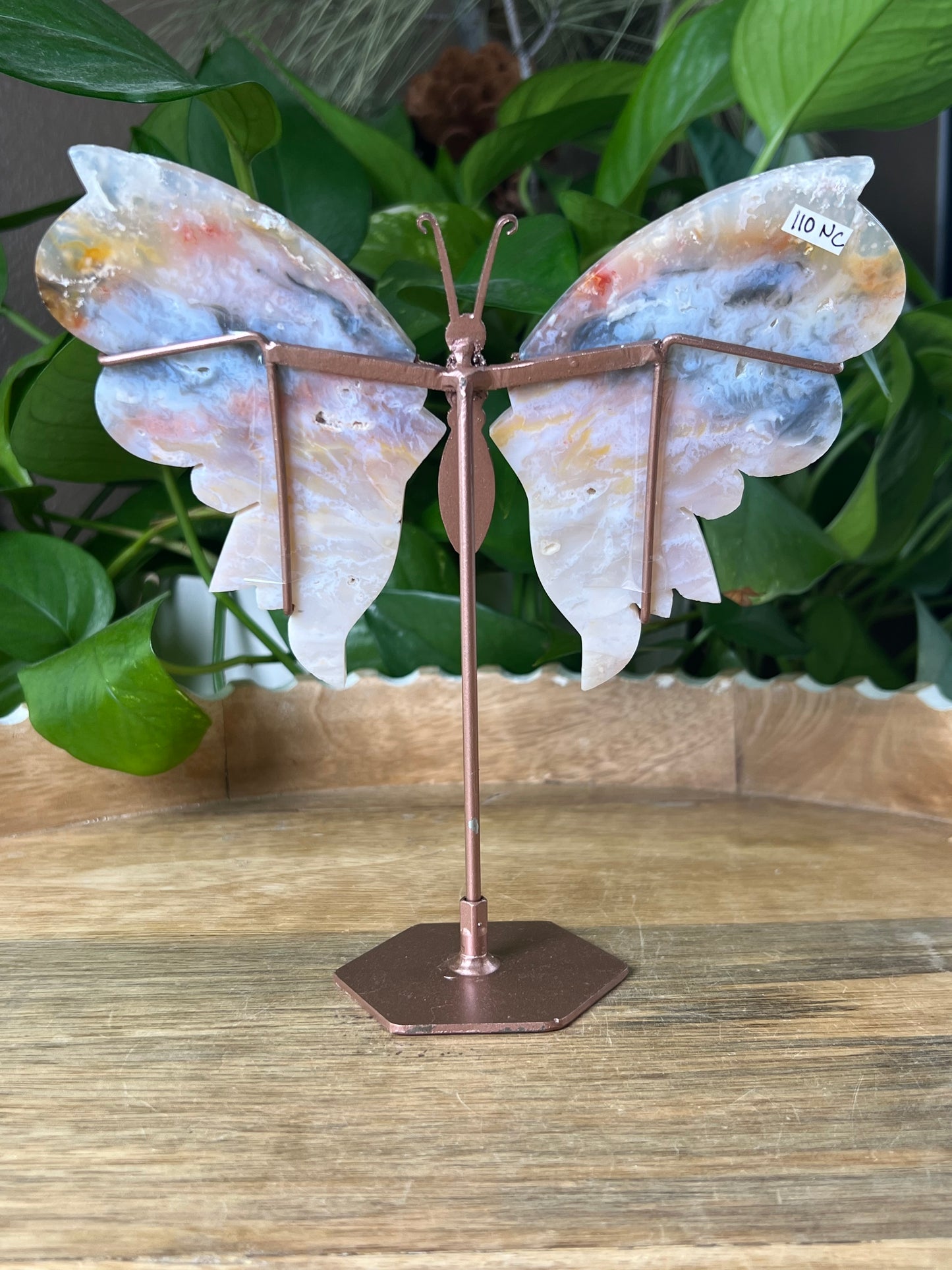 Rainbow Plume Agate Wings