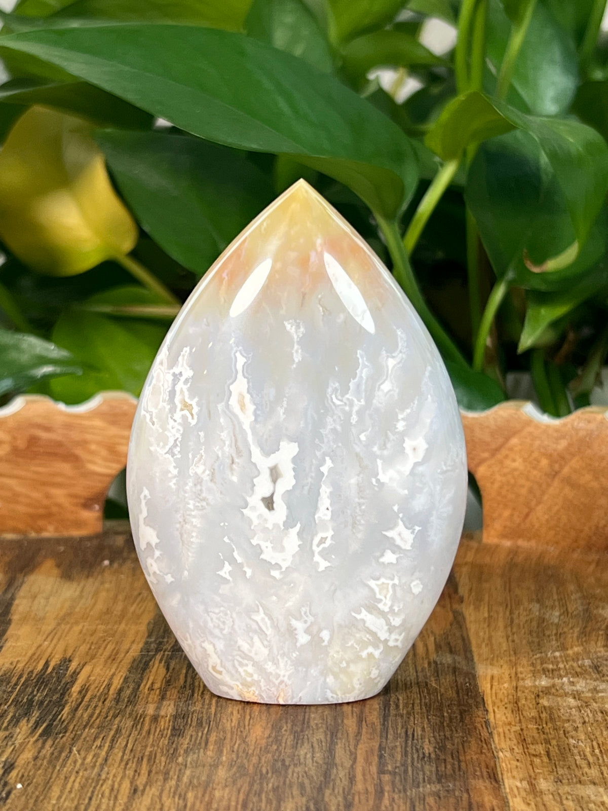 Winter Plume Agate Flames