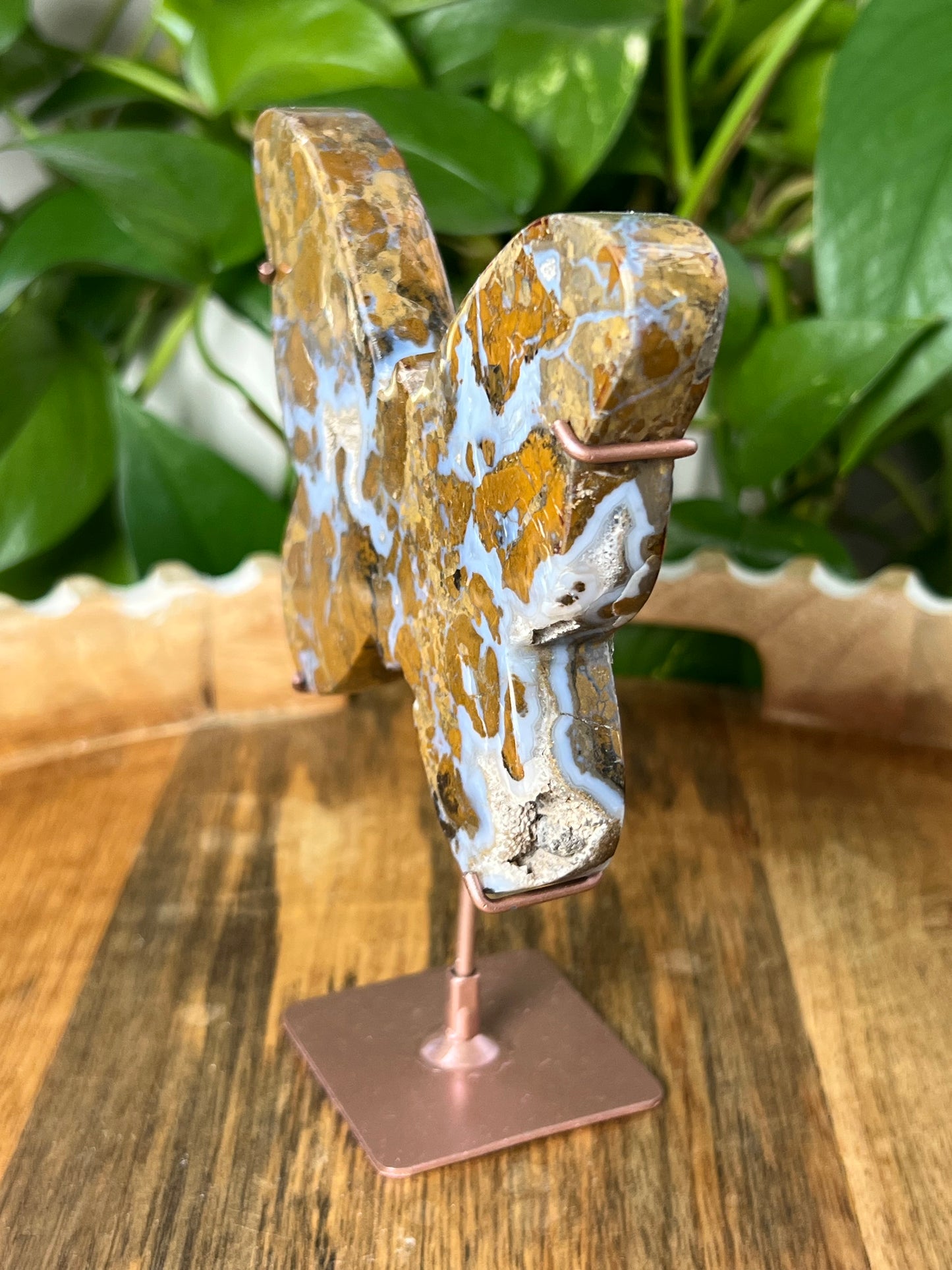 Brecciated Jasper Butterfly
