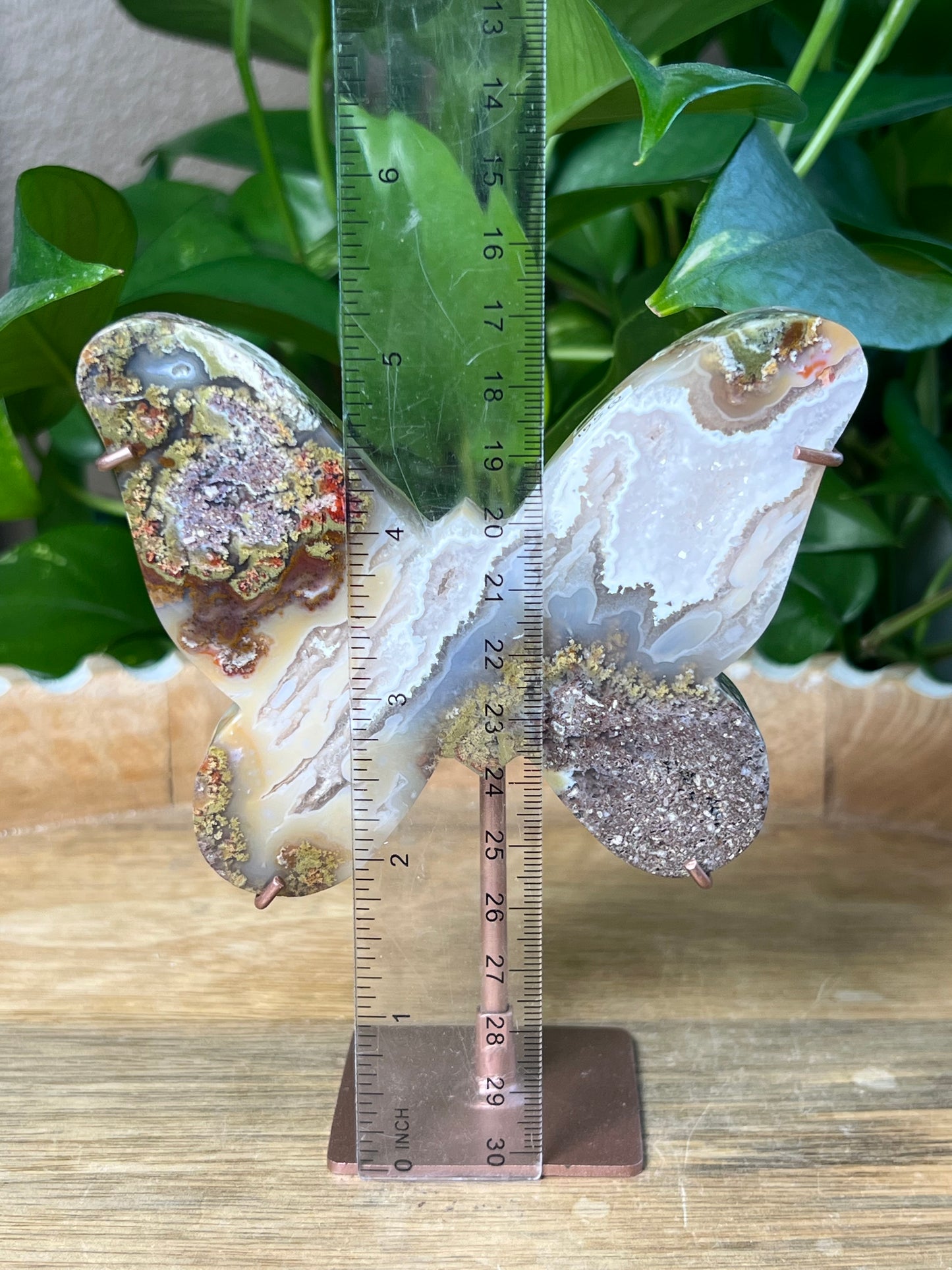 Scenic Moss Agate Butterfly