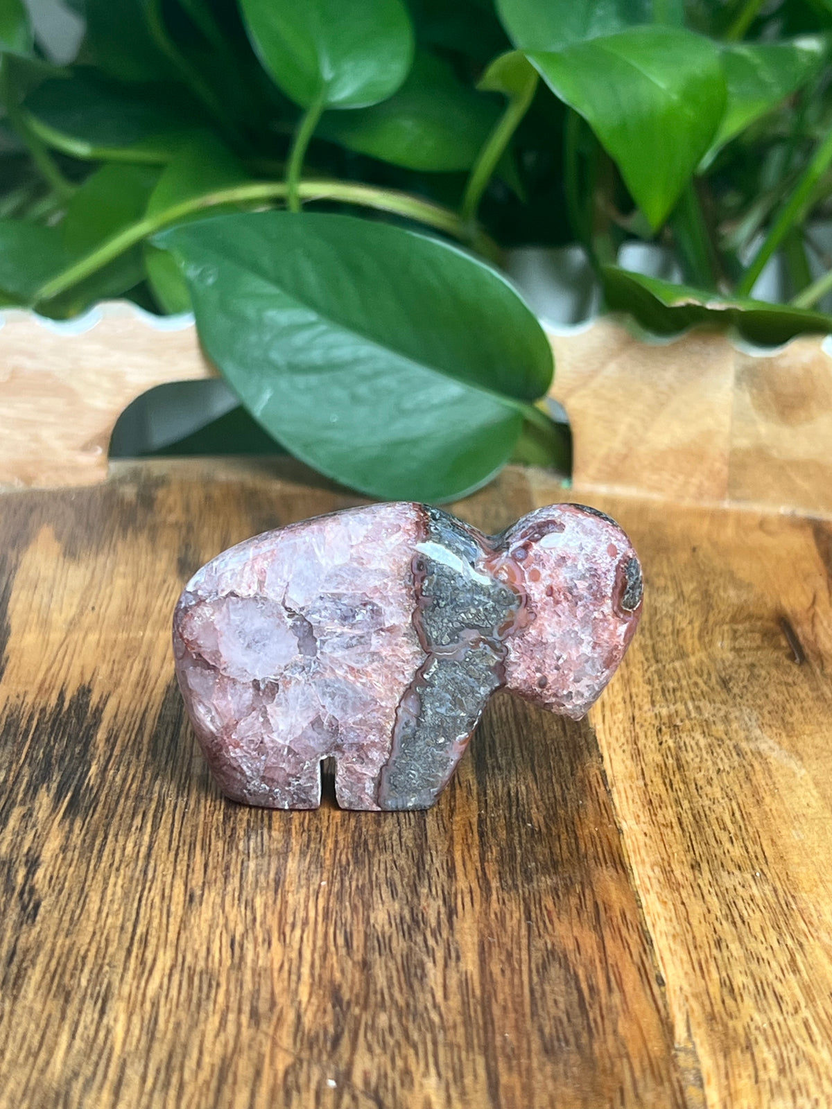 Marcasite Mini Buffalo: MA