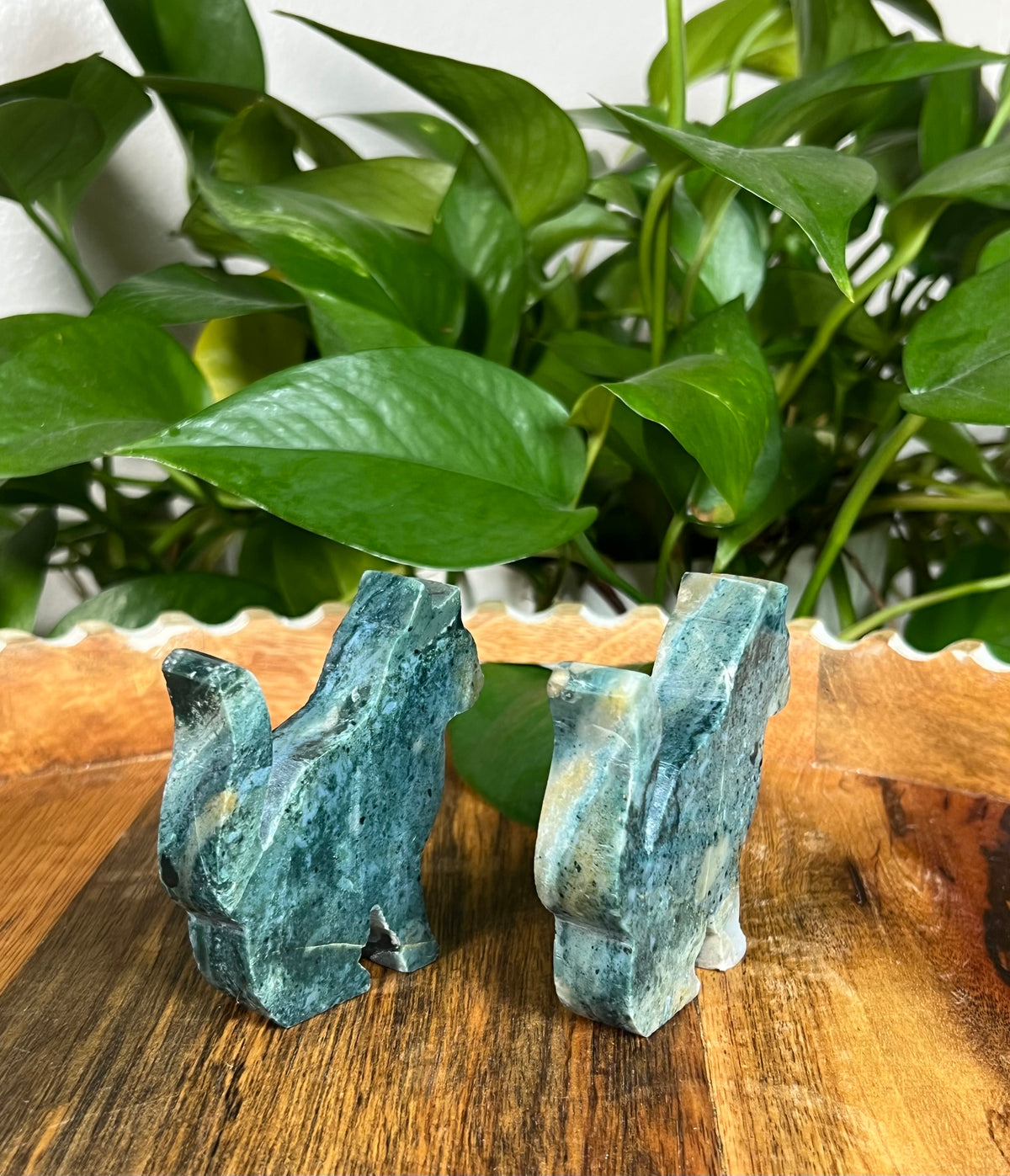 Blue Green Jasper Cats
