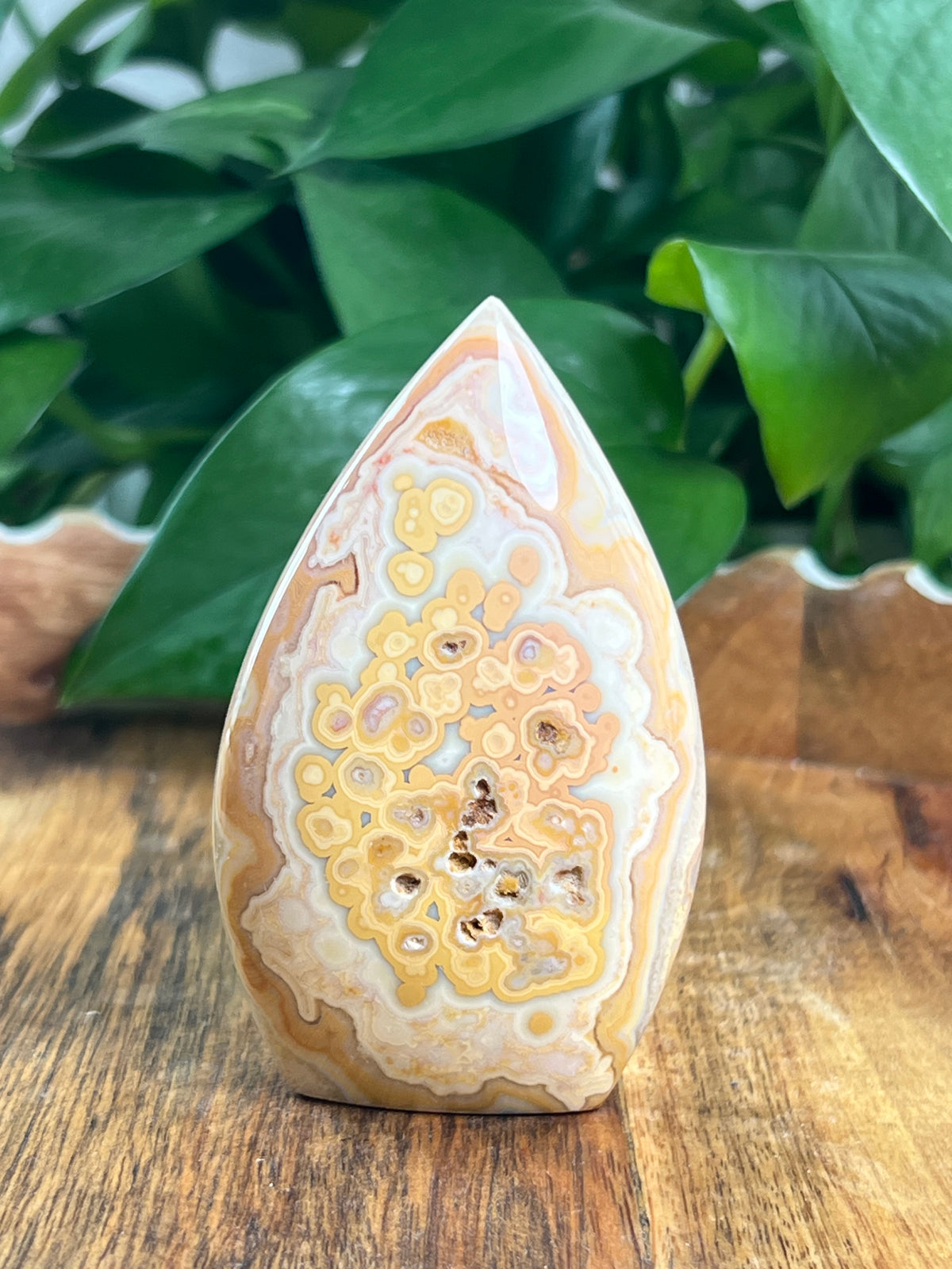 Crazy Lace Agate Flame: BG