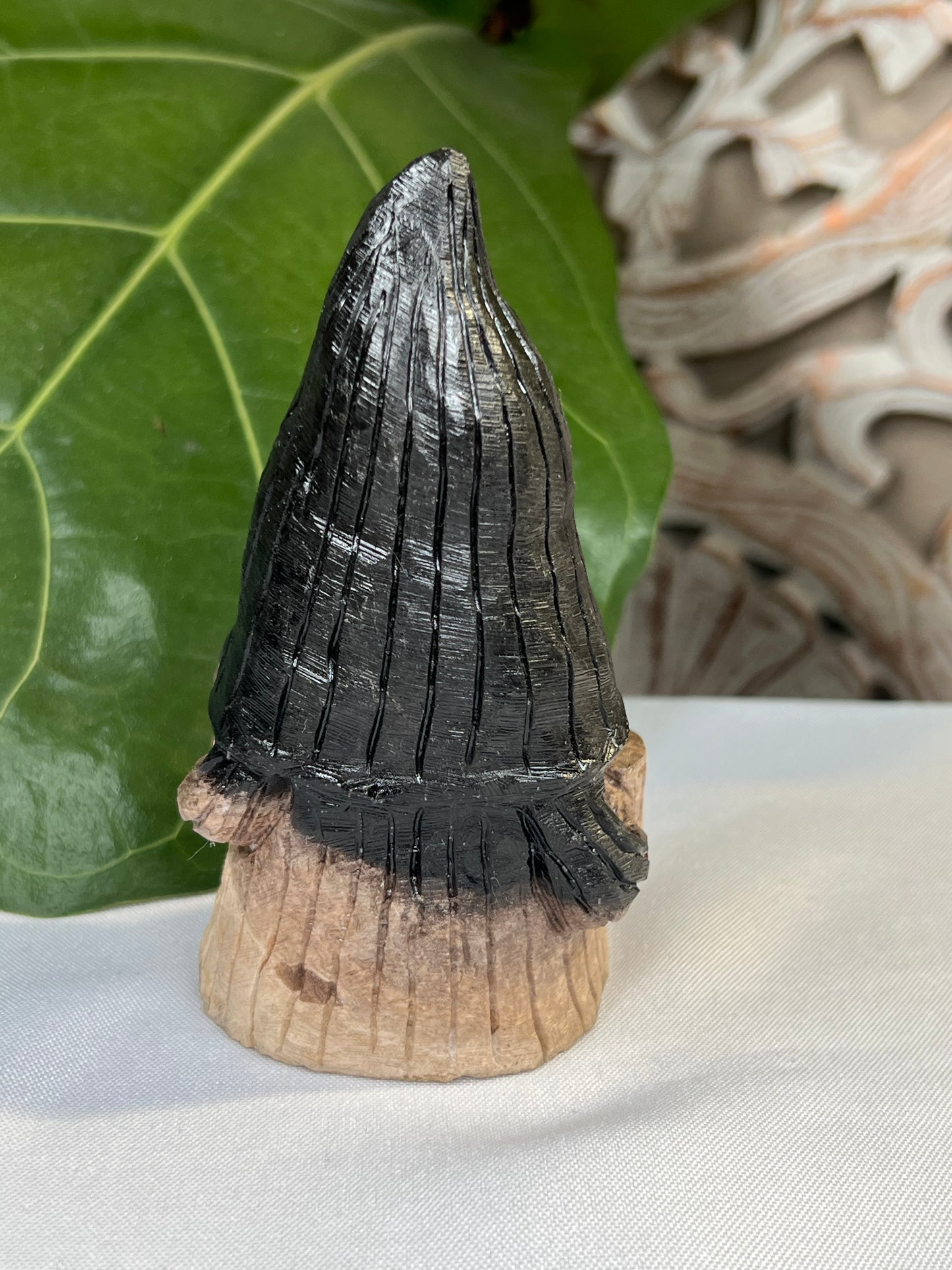 Palm Root Gnome