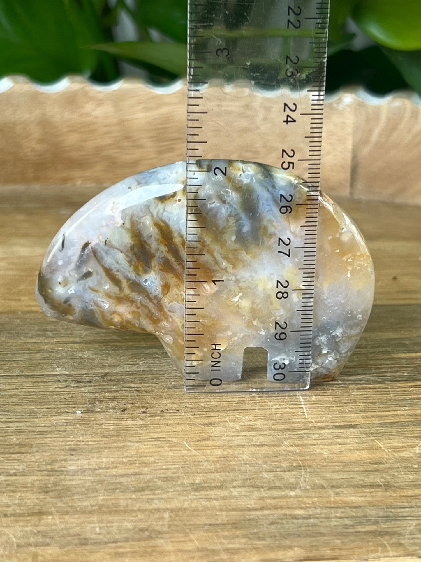 Rainbow Plume Agate Bear