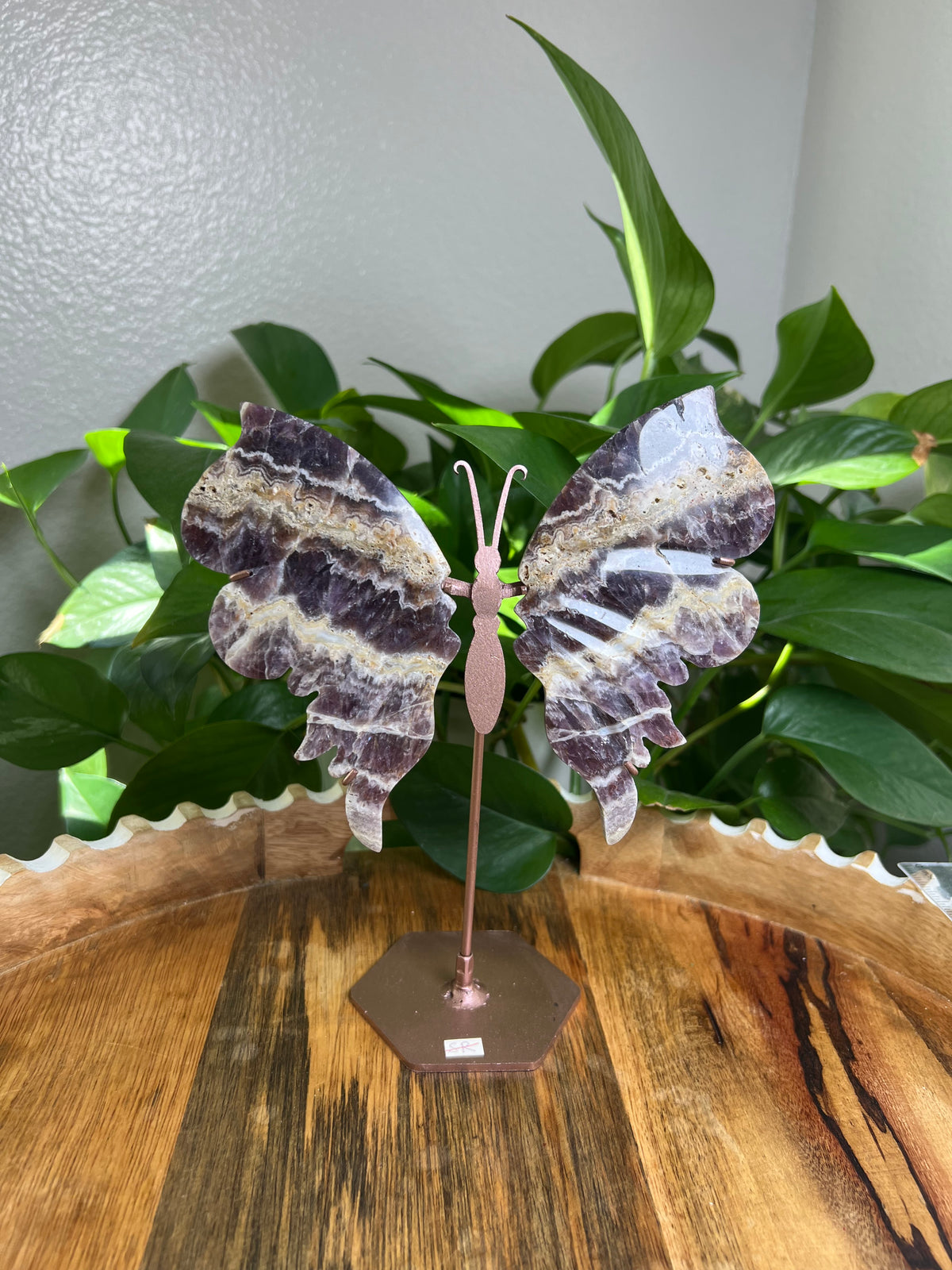 Indonesian Amethyst Wings : SR