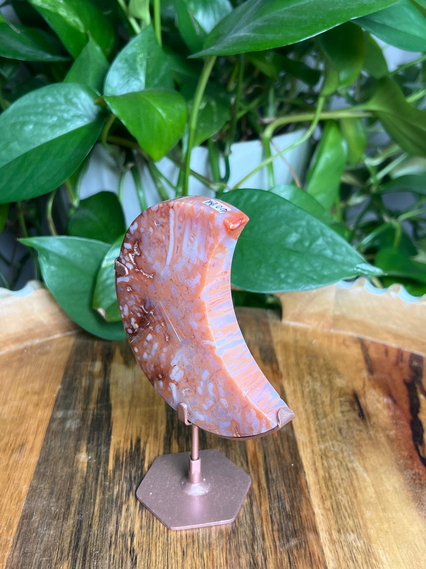 Carnelian Moon: BQ