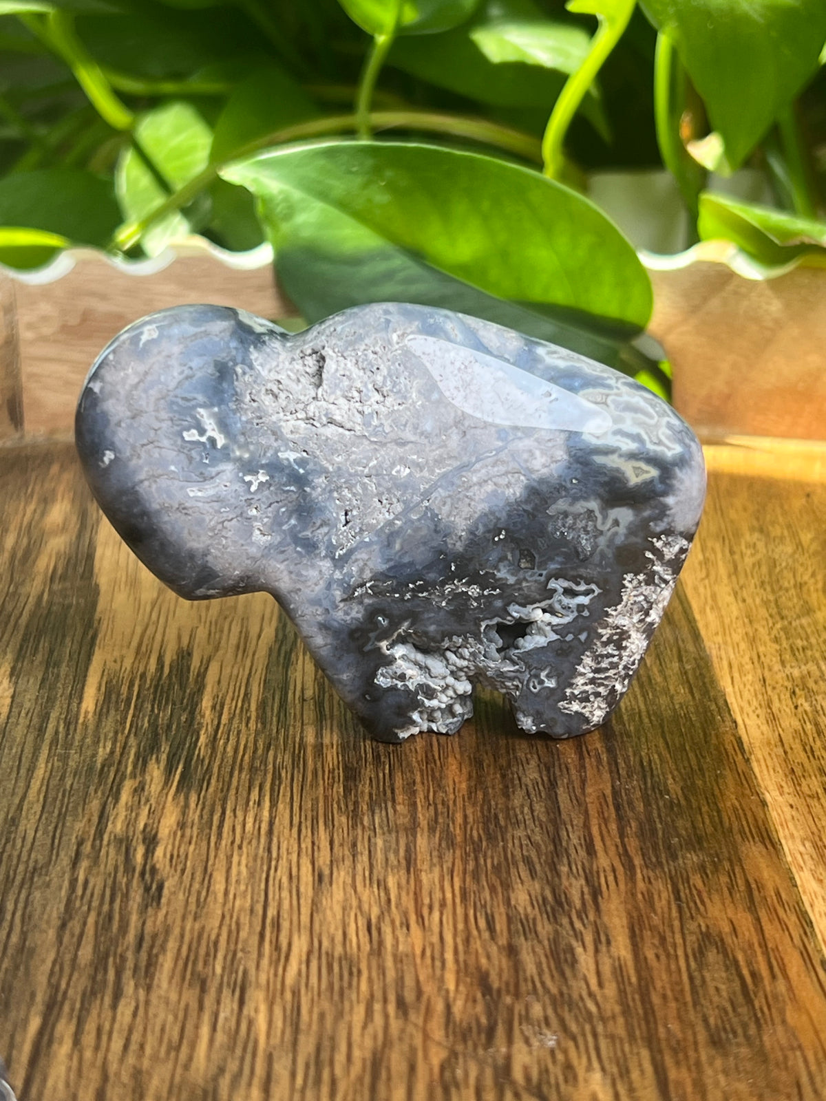 Blue Plume Agate Buffalo: BB