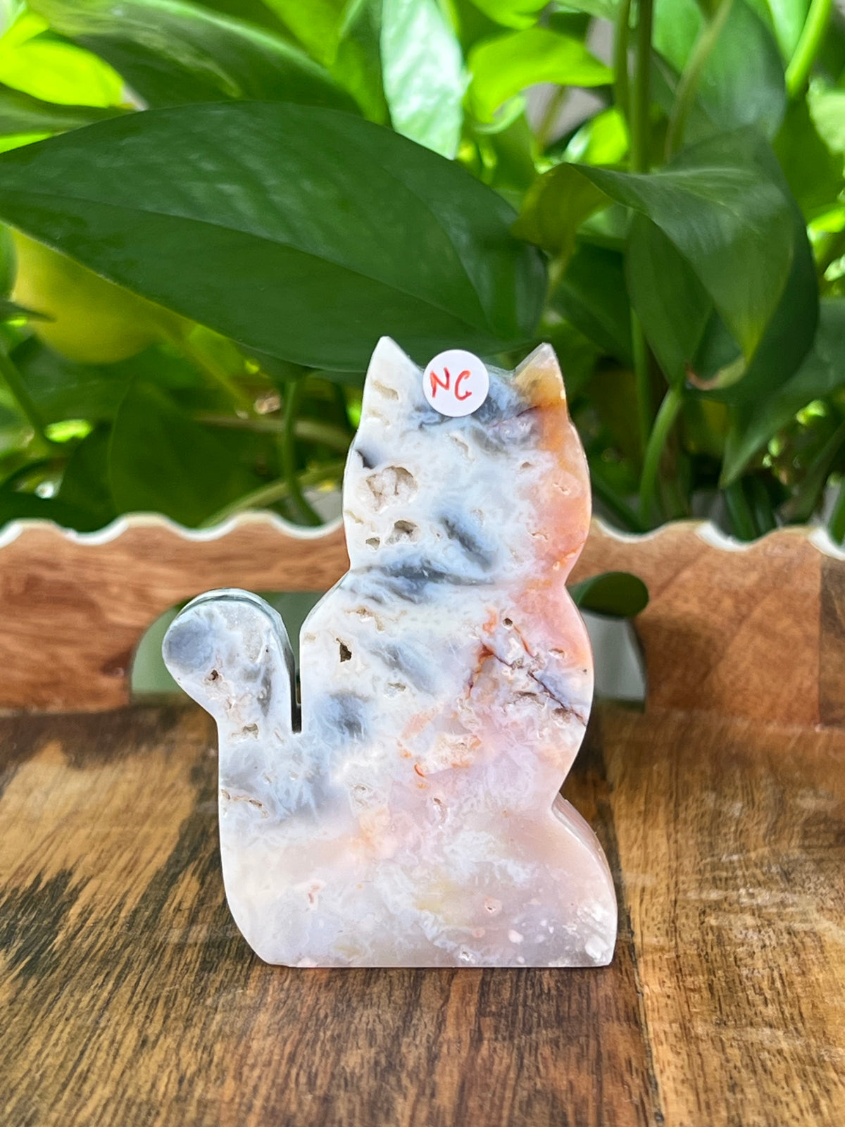 Rainbow Plume Agate Cats