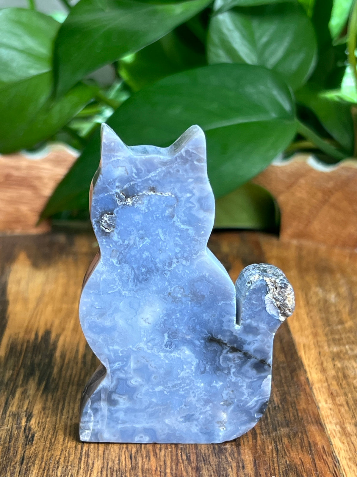 Blue Plume Agate Cat: BG