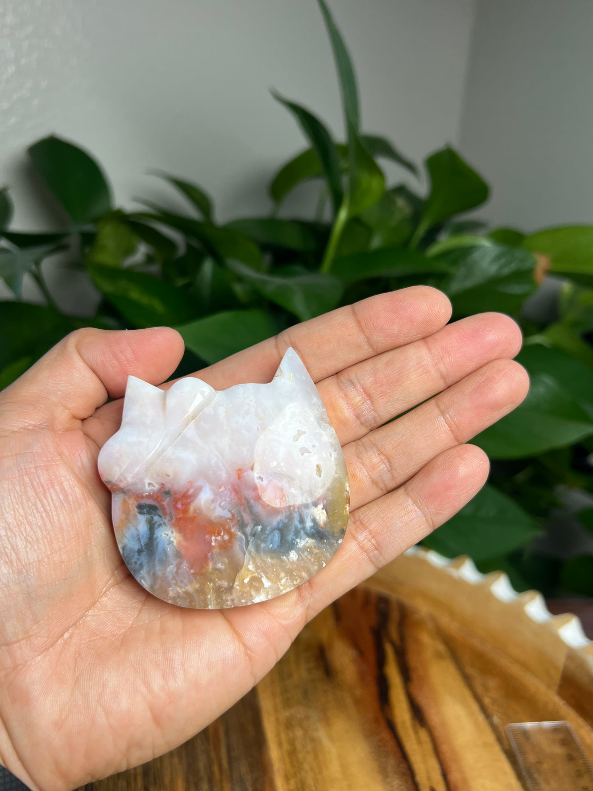 Rainbow Plume Agate Cat: FD