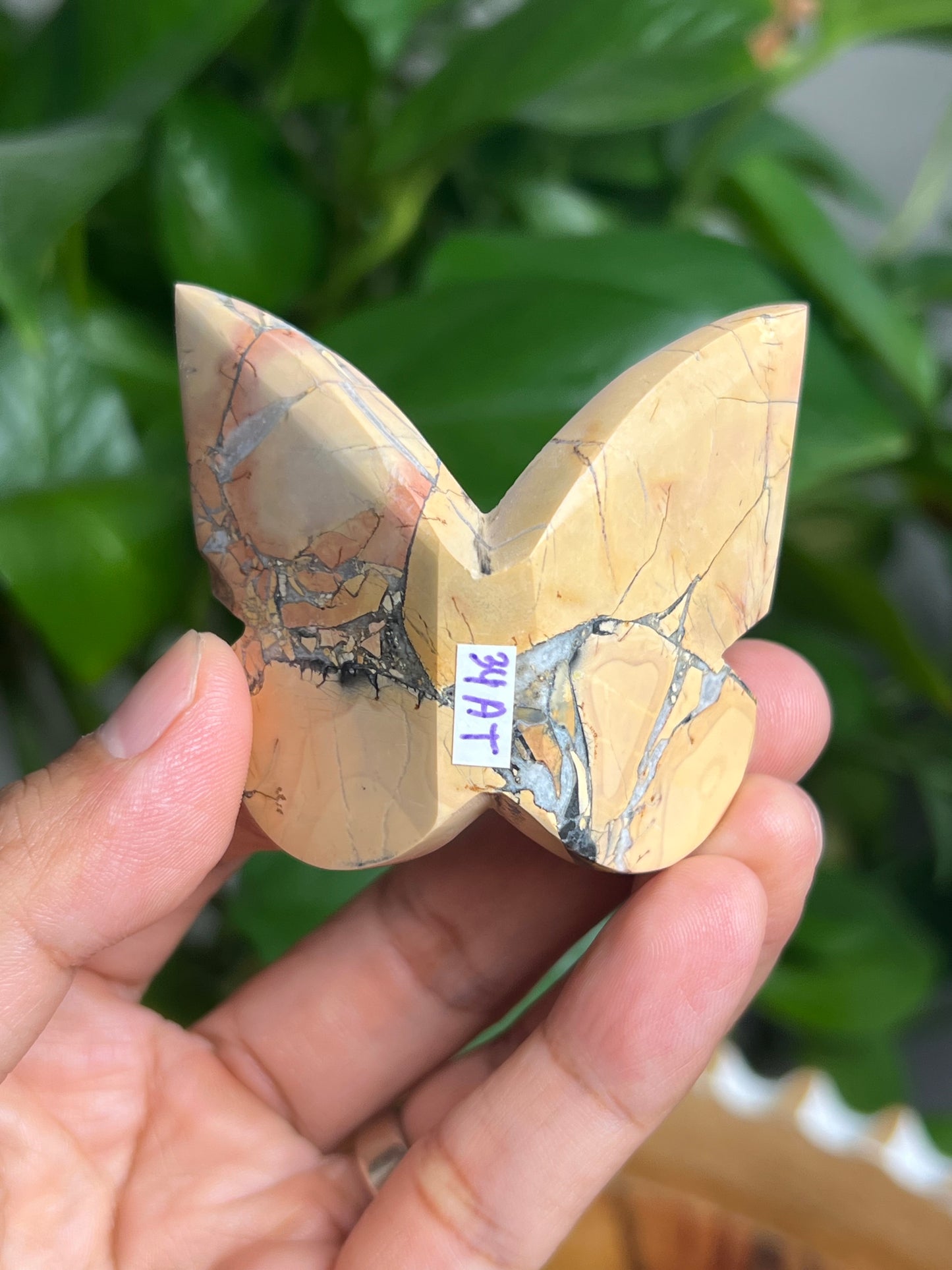 Maligano 3D Butterfly: AT