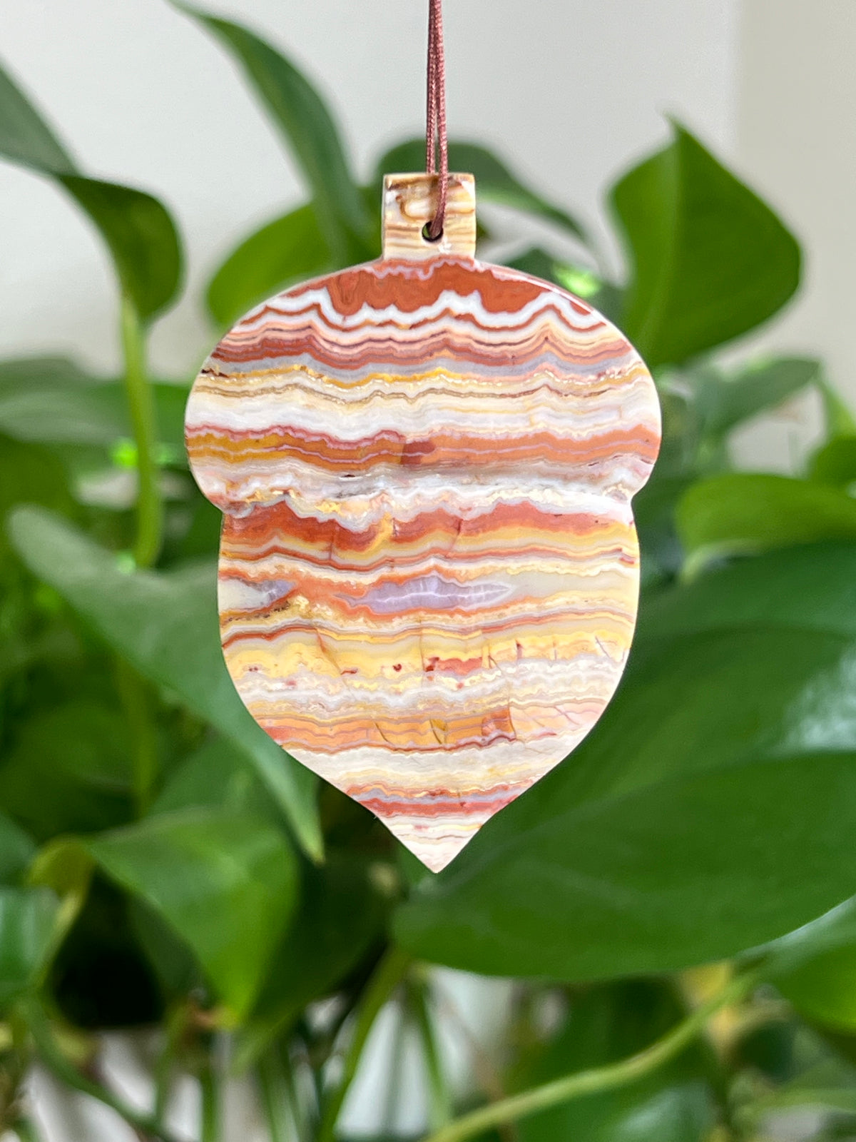 Crazy Lace Agate Acorn Ornaments