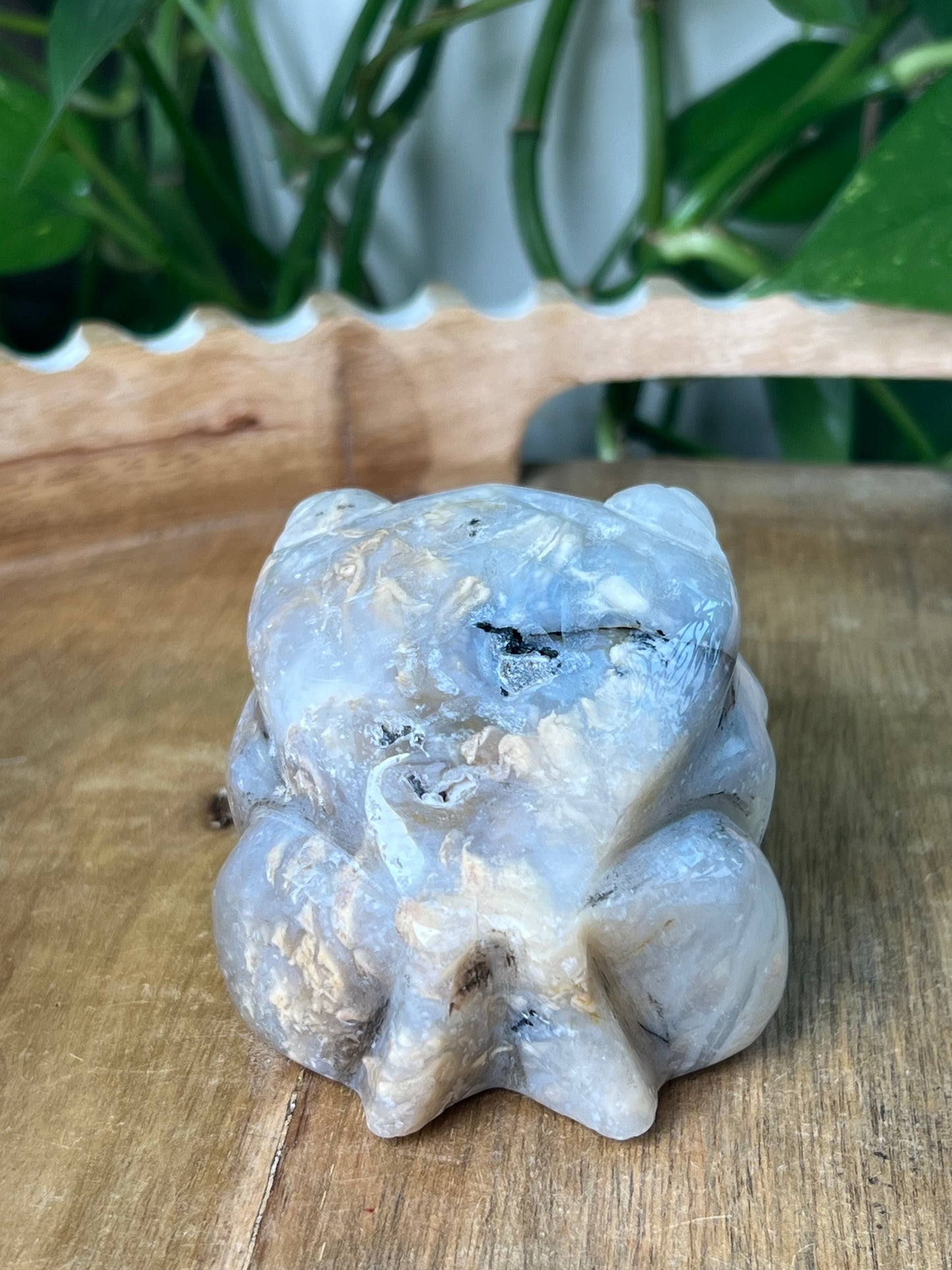 Dendritic Tiger Agate Frog
