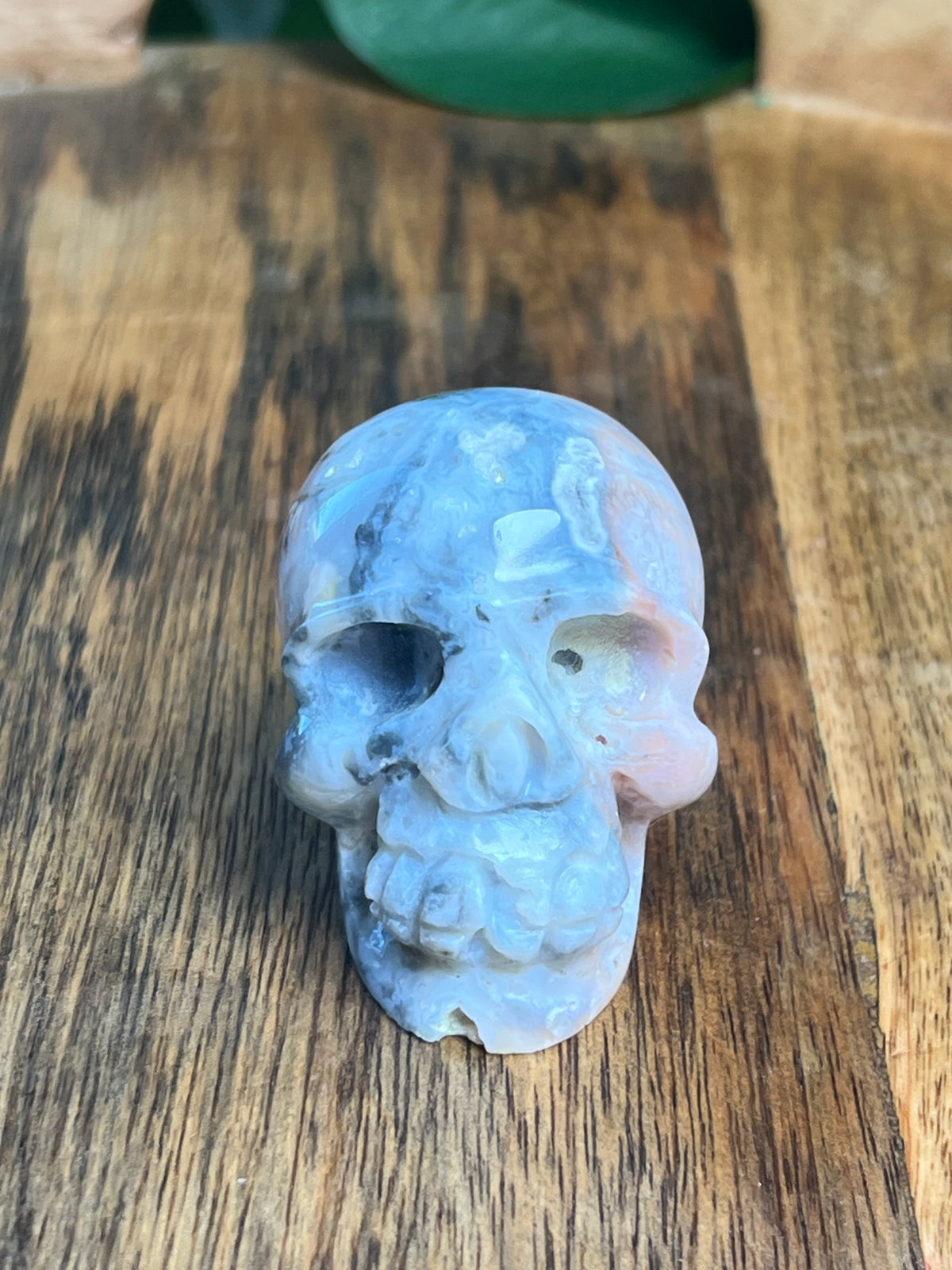 Rainbow Plume Agate Mini Skull: DB